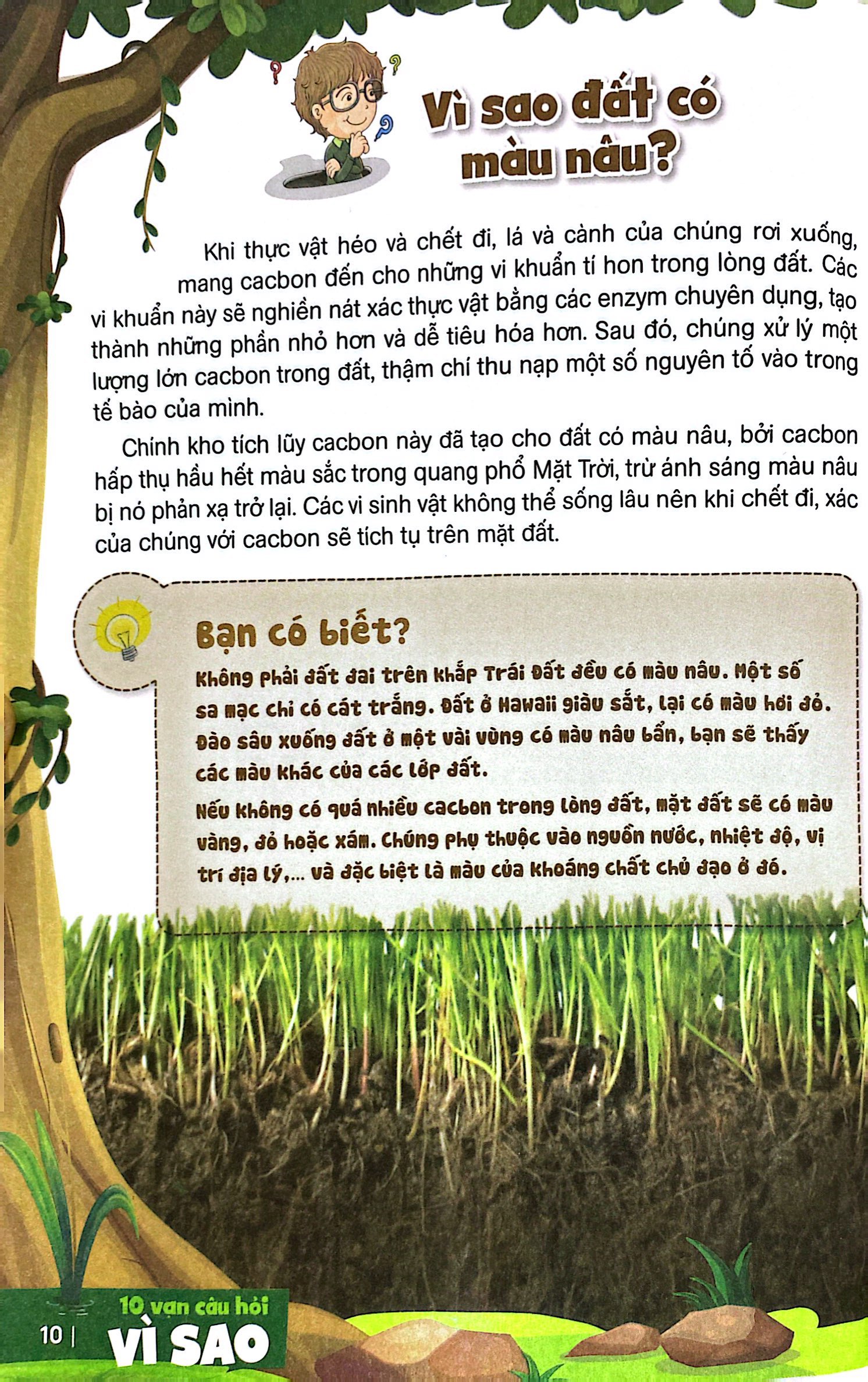 bách khoa toàn thư dành cho trẻ em - 10 vạn câu hỏi vì sao - tự nhiên kỳ thú (tái bản 2024) - Ảnh 8