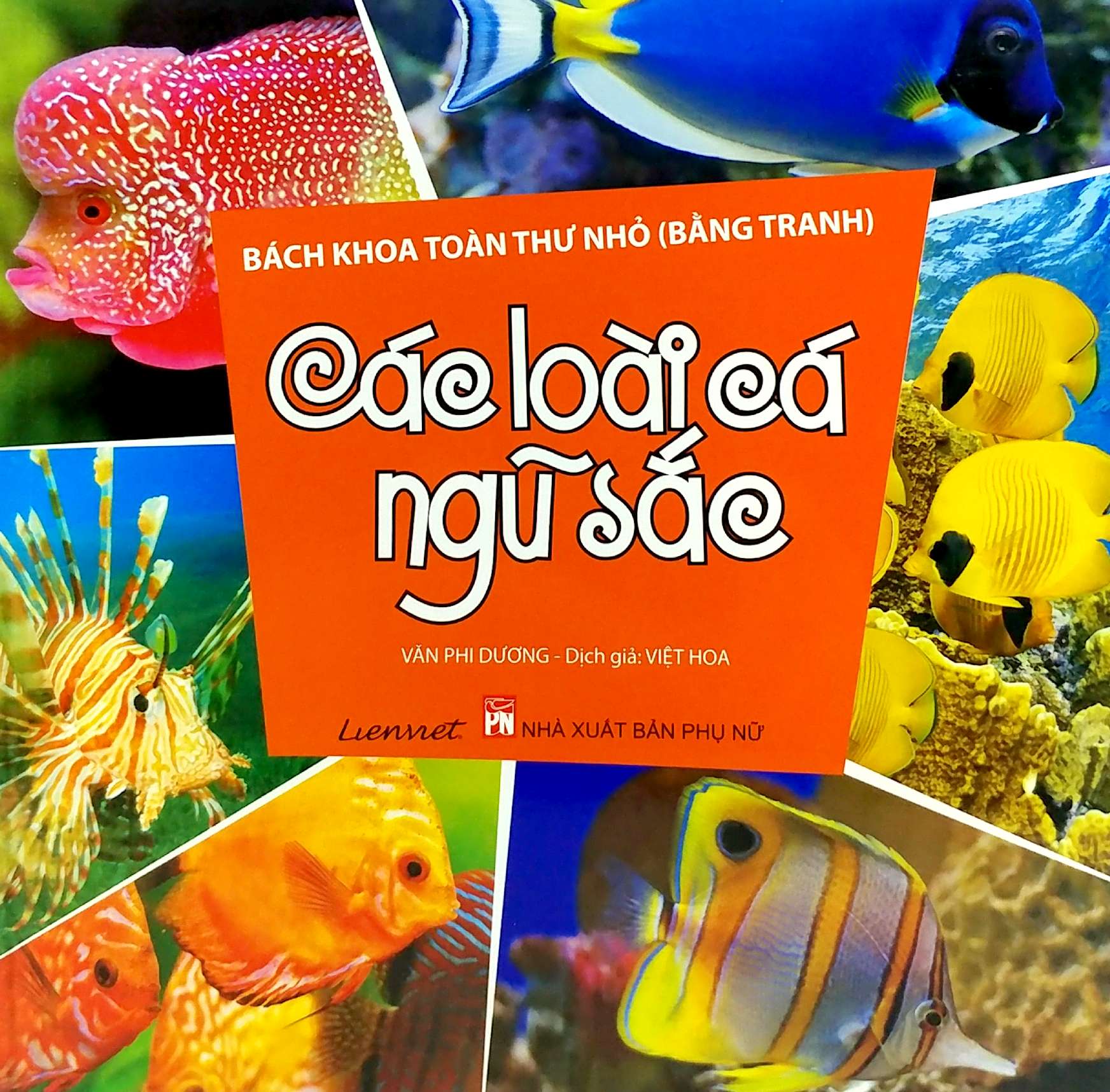 bách khoa toàn thư nhỏ - các loài cá ngũ sắc - Ảnh 2