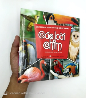 bách khoa toàn thư nhỏ - các loài chim - Ảnh 9