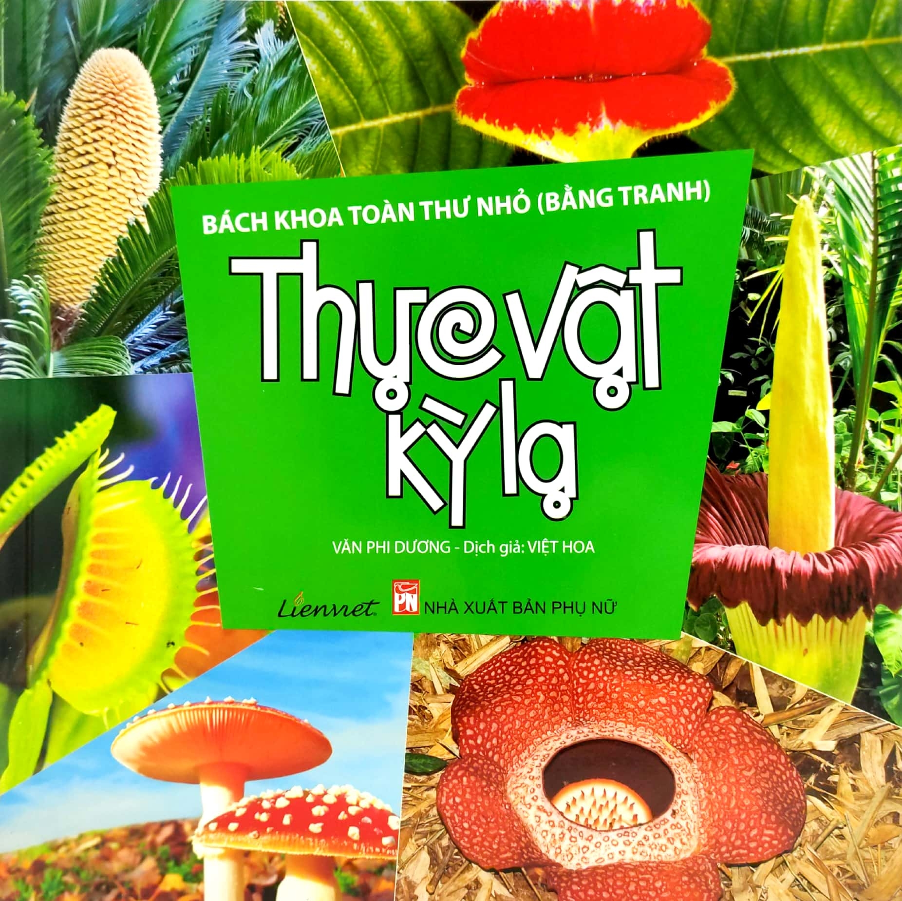 bách khoa toàn thư nhỏ - thực vật kỳ lạ - Ảnh 2