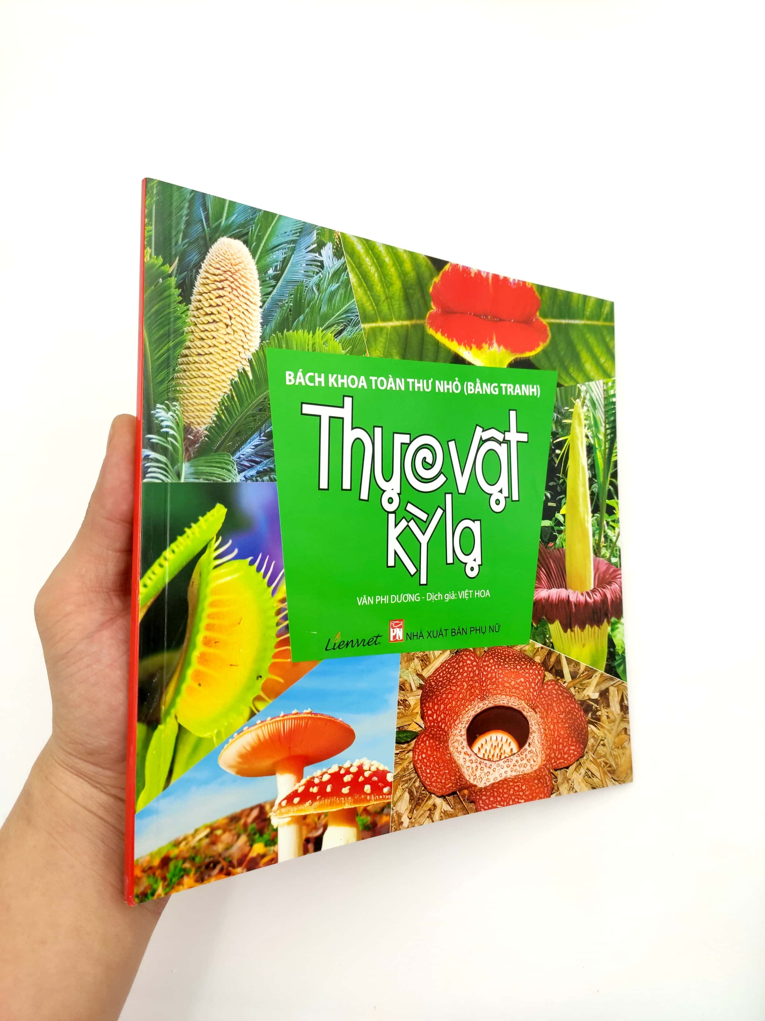 bách khoa toàn thư nhỏ - thực vật kỳ lạ - Ảnh 4