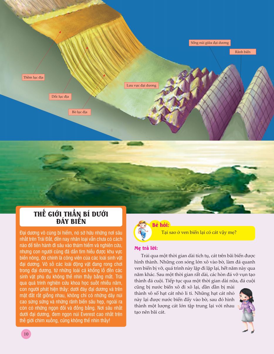 bách khoa toàn thư - tìm hiểu về trái đất - khám phá đại dương - Ảnh 10