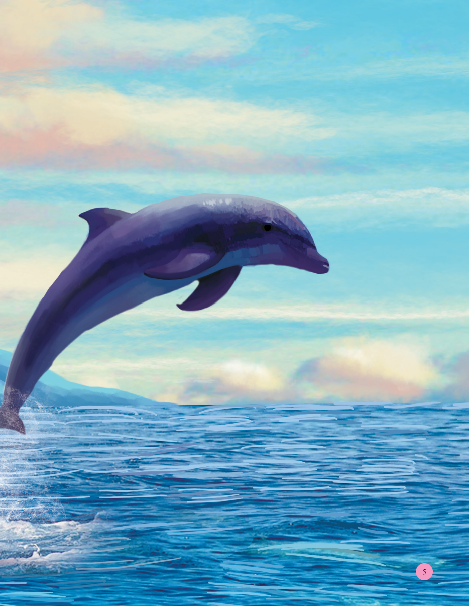 bách khoa toàn thư - tìm hiểu về trái đất - khám phá đại dương - Ảnh 5