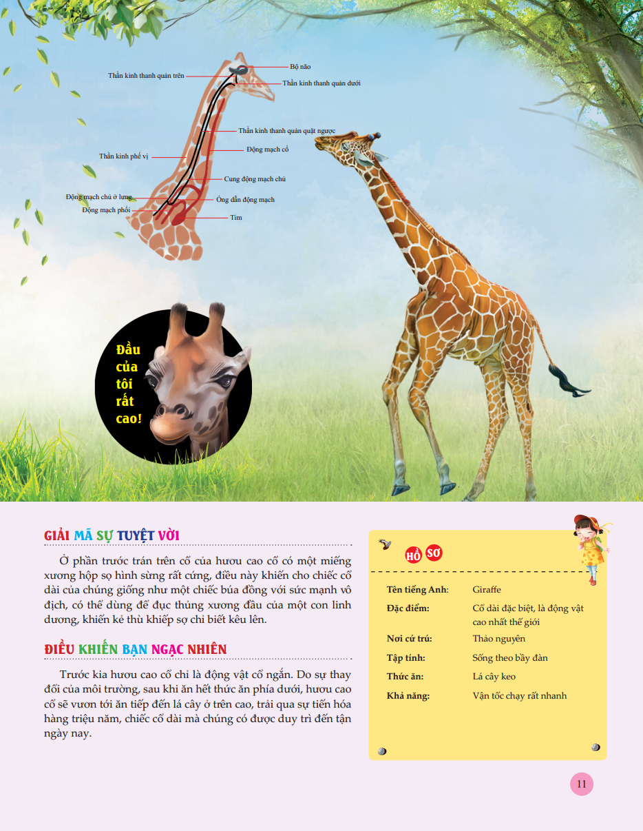 bách khoa toàn thư tìm hiểu về trái đất - thế giới động vật (tái bản 2023) - Ảnh 12