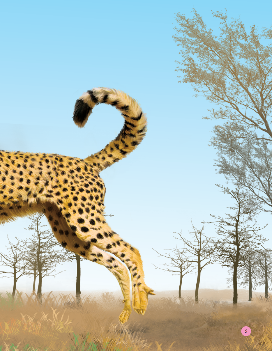 bách khoa toàn thư tìm hiểu về trái đất - thế giới động vật (tái bản 2023) - Ảnh 6