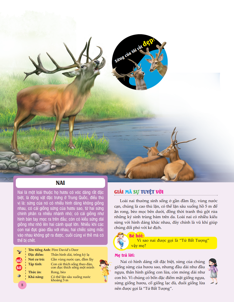 bách khoa toàn thư tìm hiểu về trái đất - thế giới động vật (tái bản 2023) - Ảnh 9