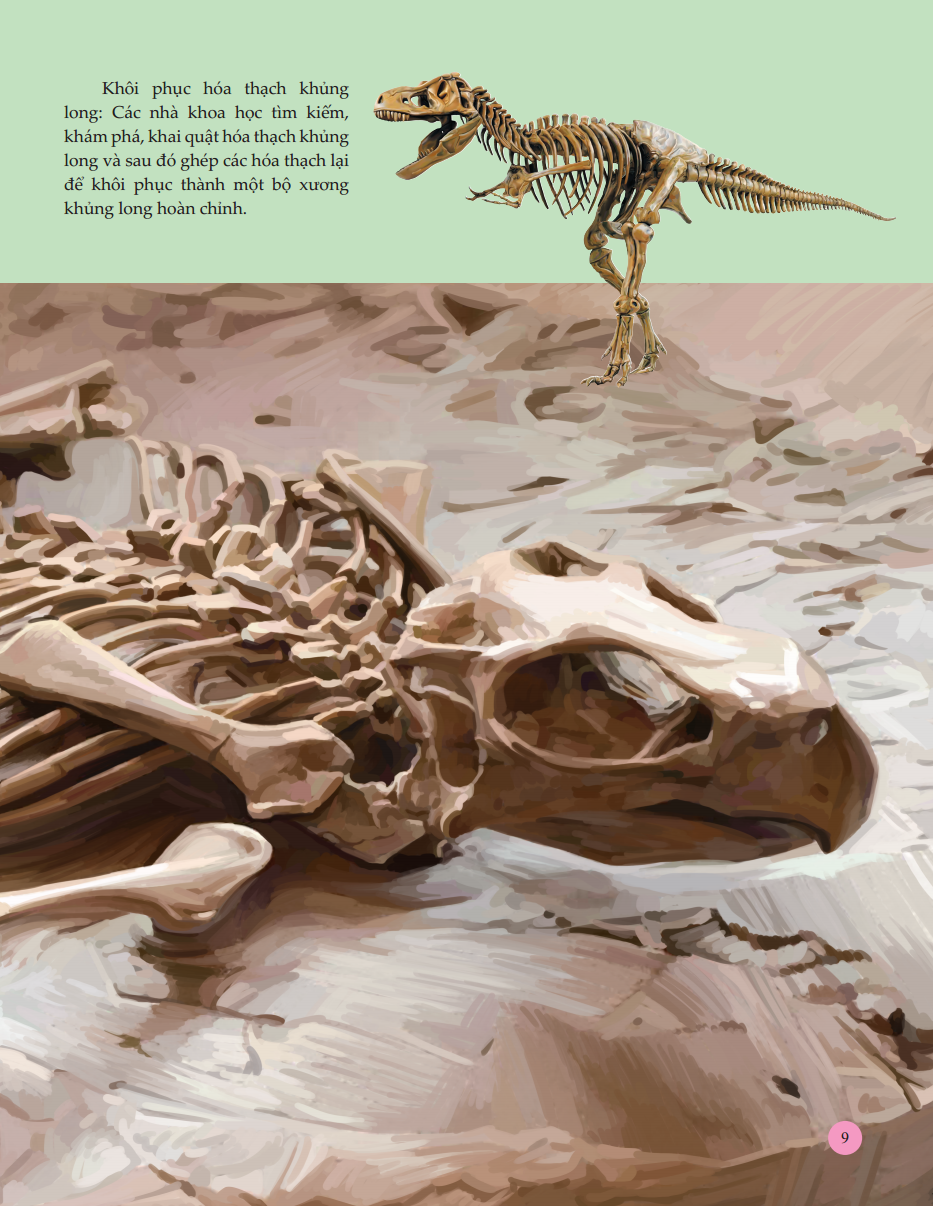 bách khoa toàn thư tìm hiểu về trái đất - vương quốc khủng long (tái bản 2023) - Ảnh 10