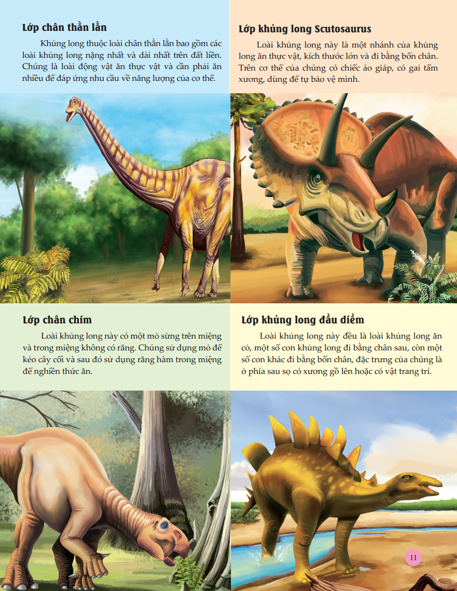 bách khoa toàn thư tìm hiểu về trái đất - vương quốc khủng long (tái bản 2023) - Ảnh 12