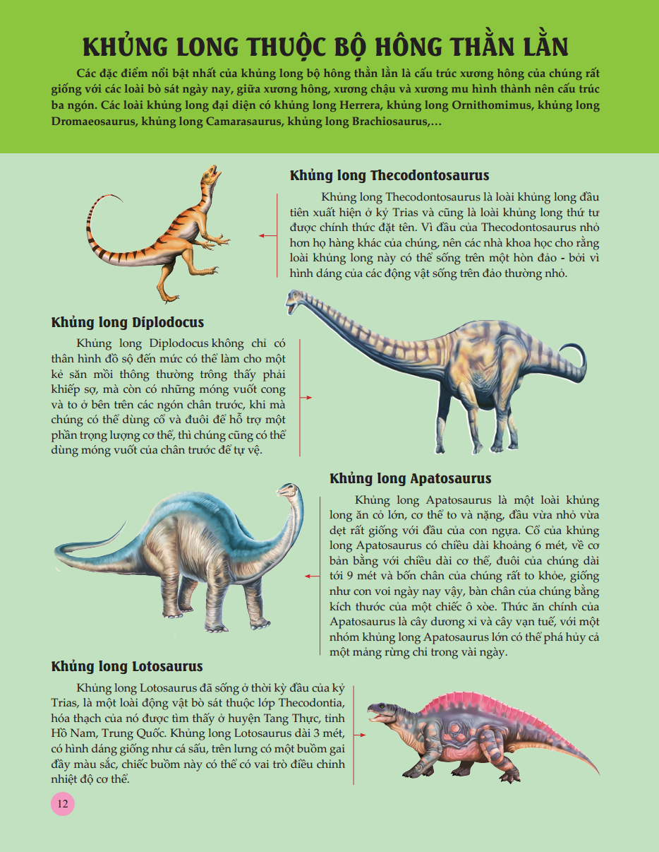 bách khoa toàn thư tìm hiểu về trái đất - vương quốc khủng long (tái bản 2023) - Ảnh 13