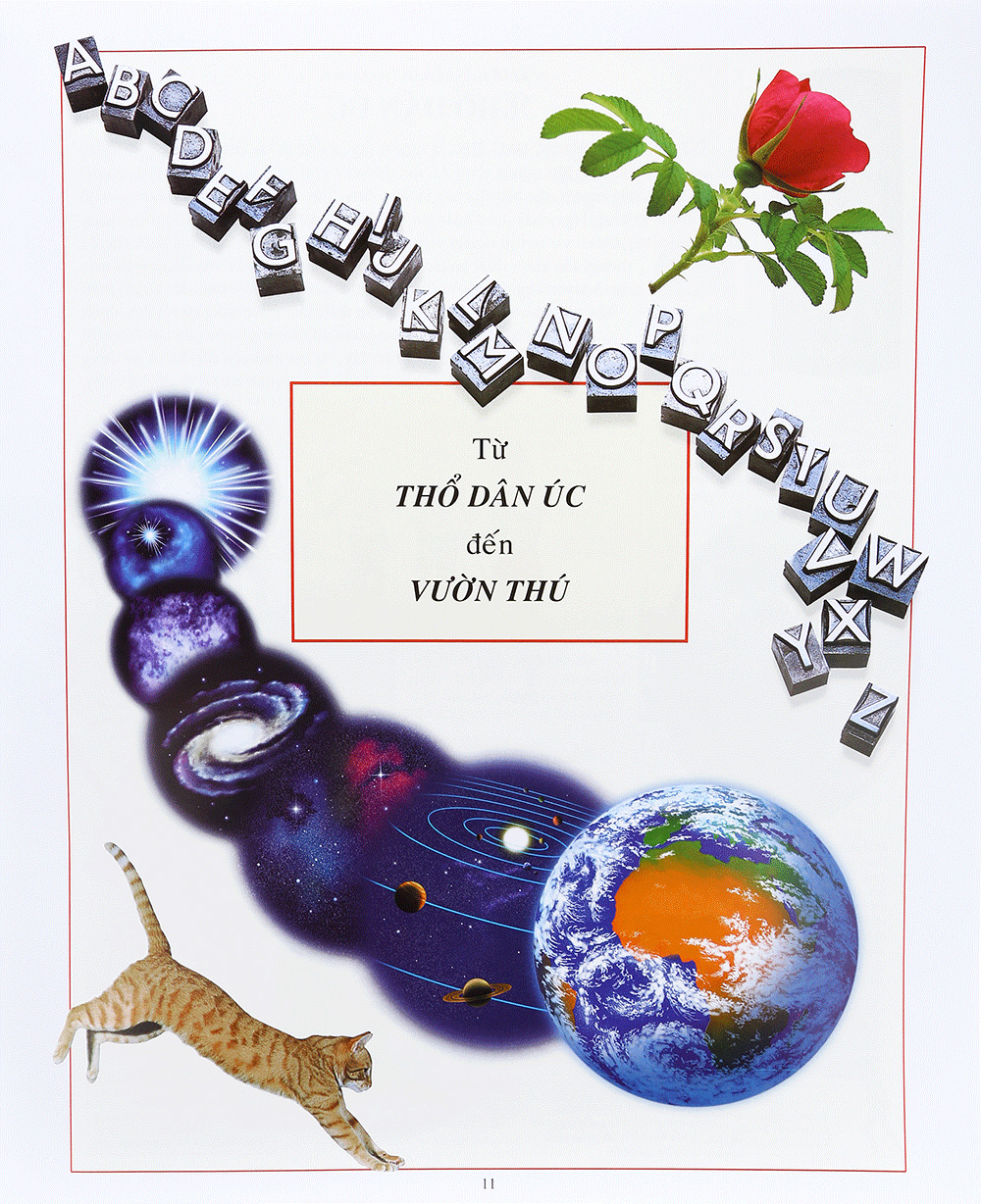 bách khoa tri thức bằng hình (tái bản 2015) - Ảnh 10