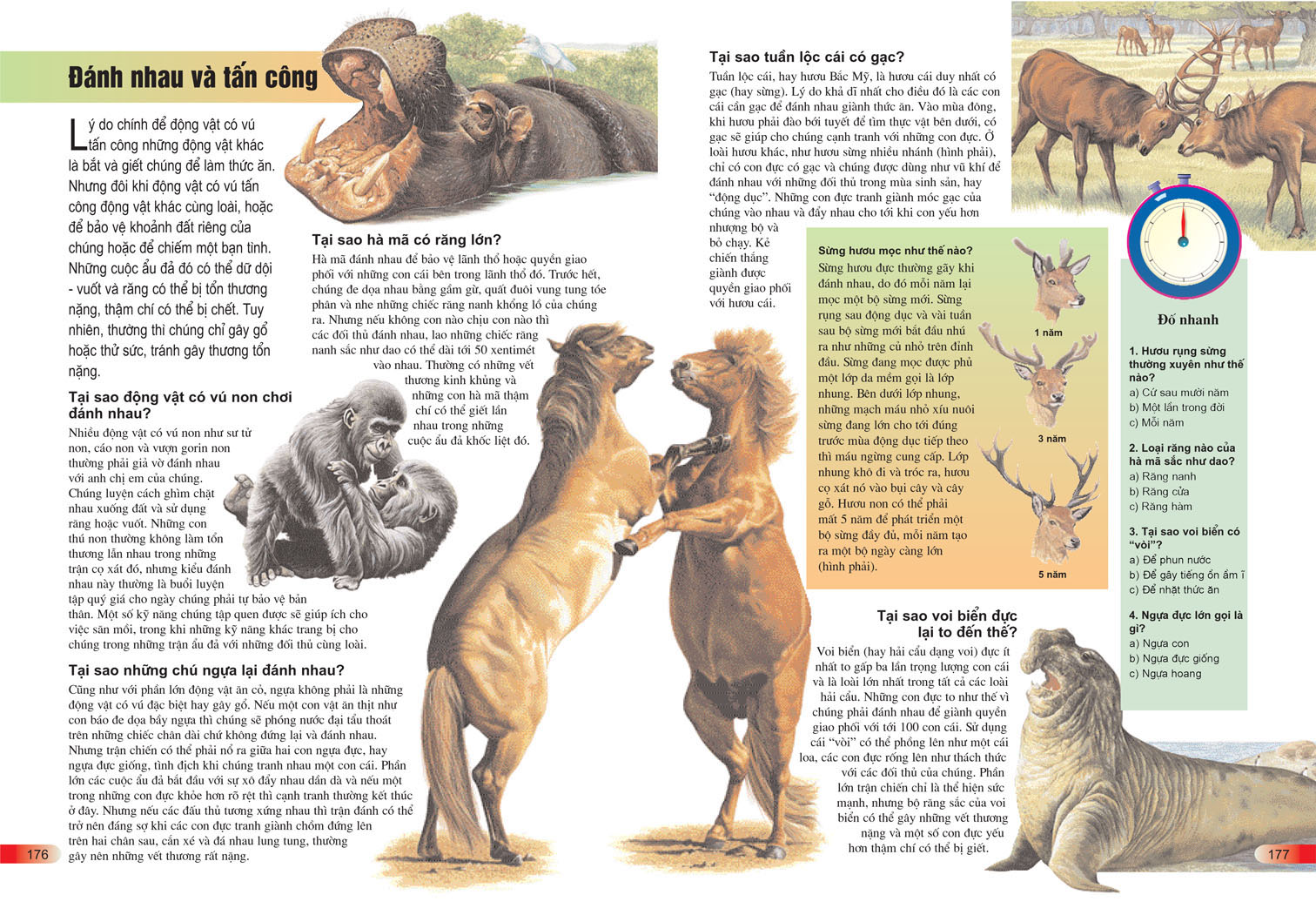 bách khoa tri thức cho trẻ em - câu hỏi và trả lời (tái bản) - Ảnh 5