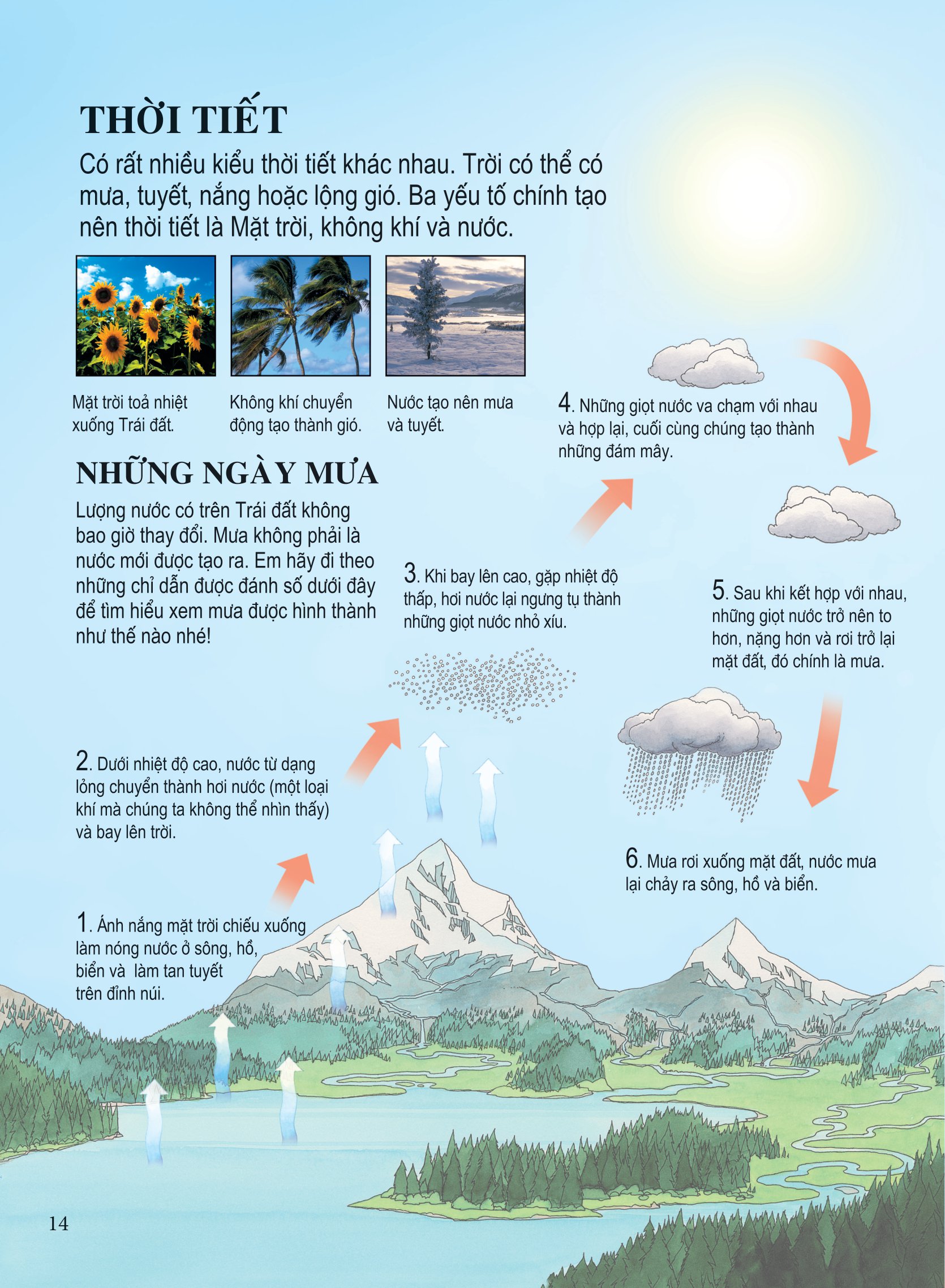 bách khoa tri thức dành cho trẻ em - Ảnh 13