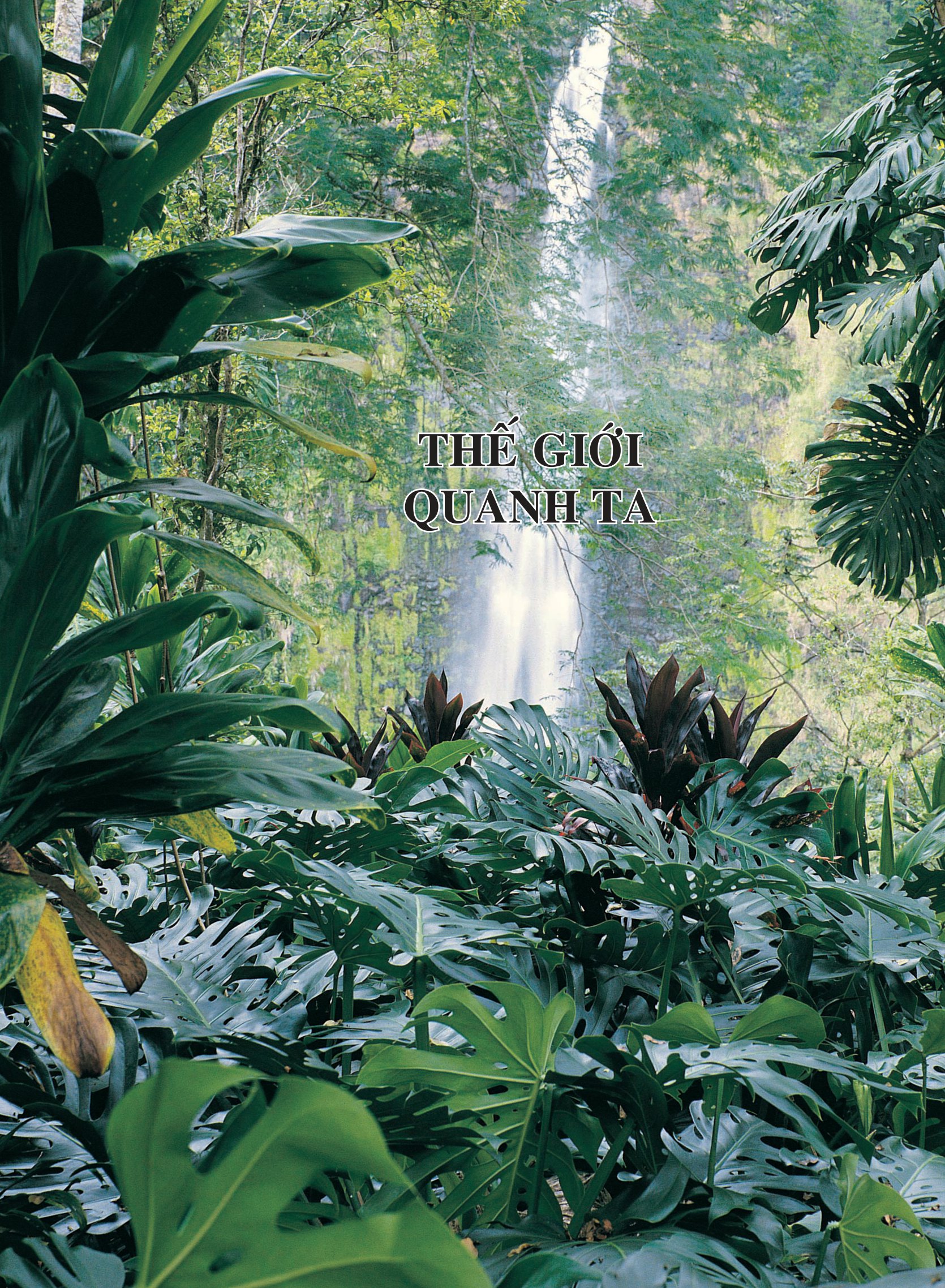 bách khoa tri thức dành cho trẻ em - Ảnh 6