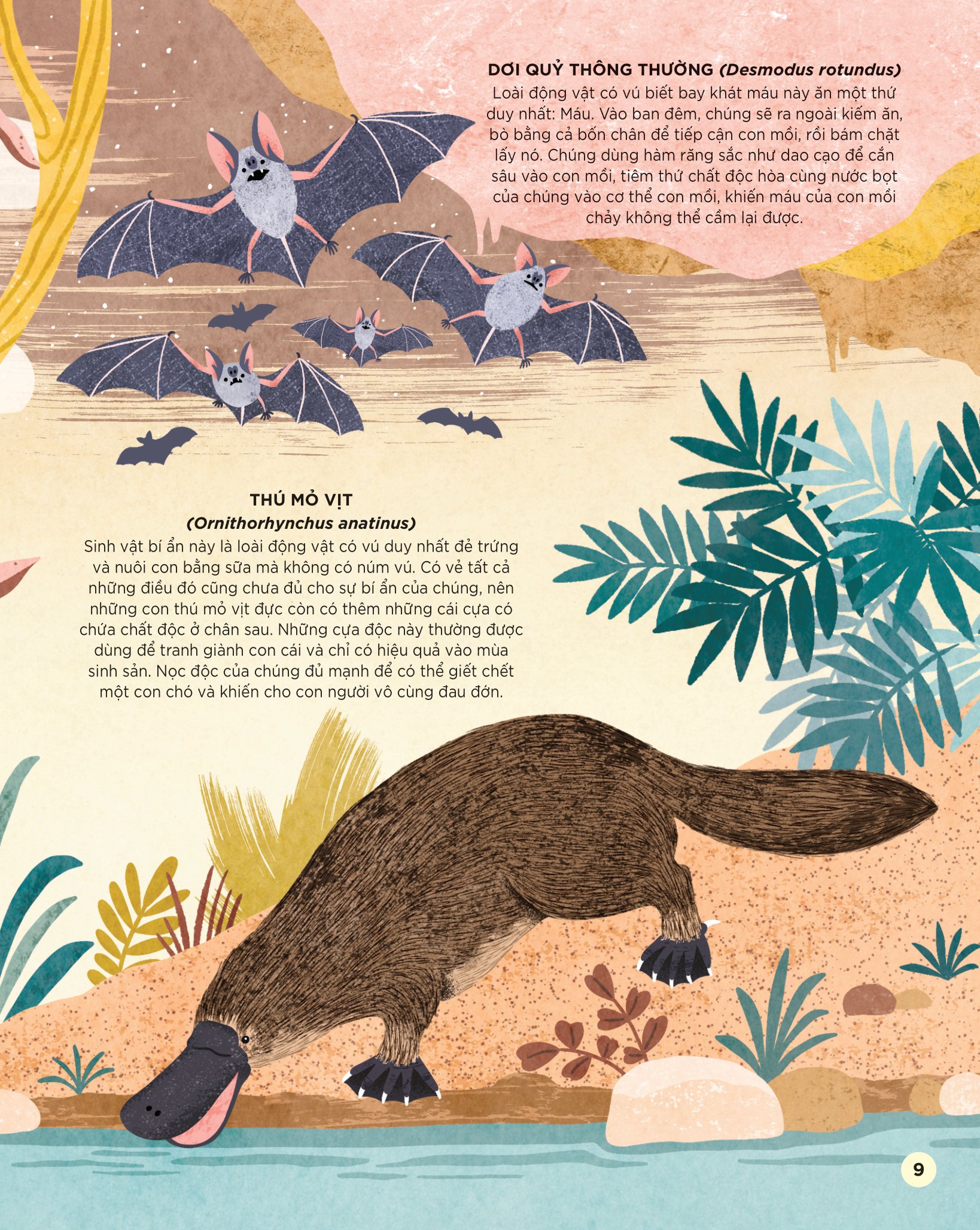 bách khoa tri thức dành cho trẻ em - các sinh vật cực độc trên trái đất - Ảnh 10