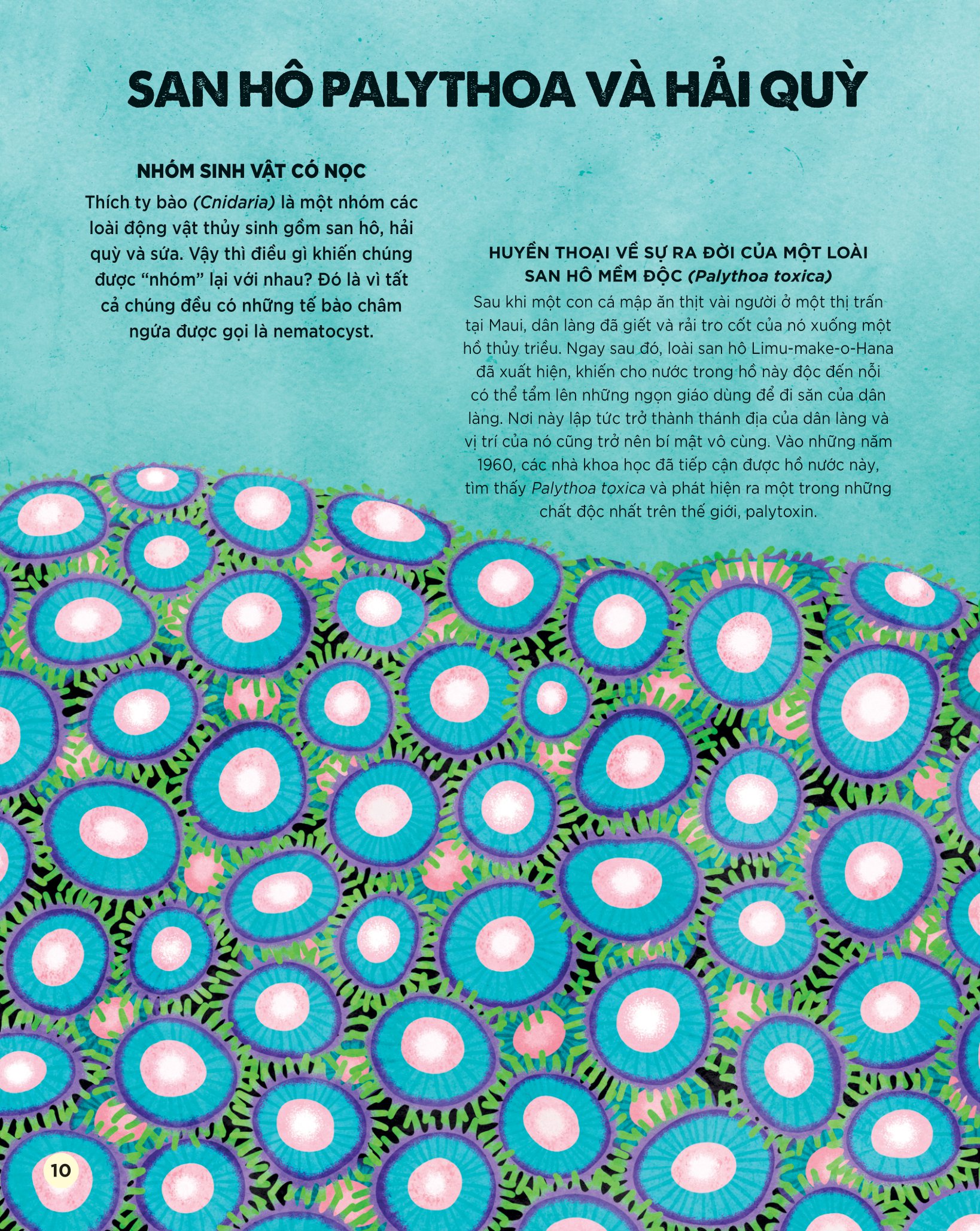 bách khoa tri thức dành cho trẻ em - các sinh vật cực độc trên trái đất - Ảnh 11