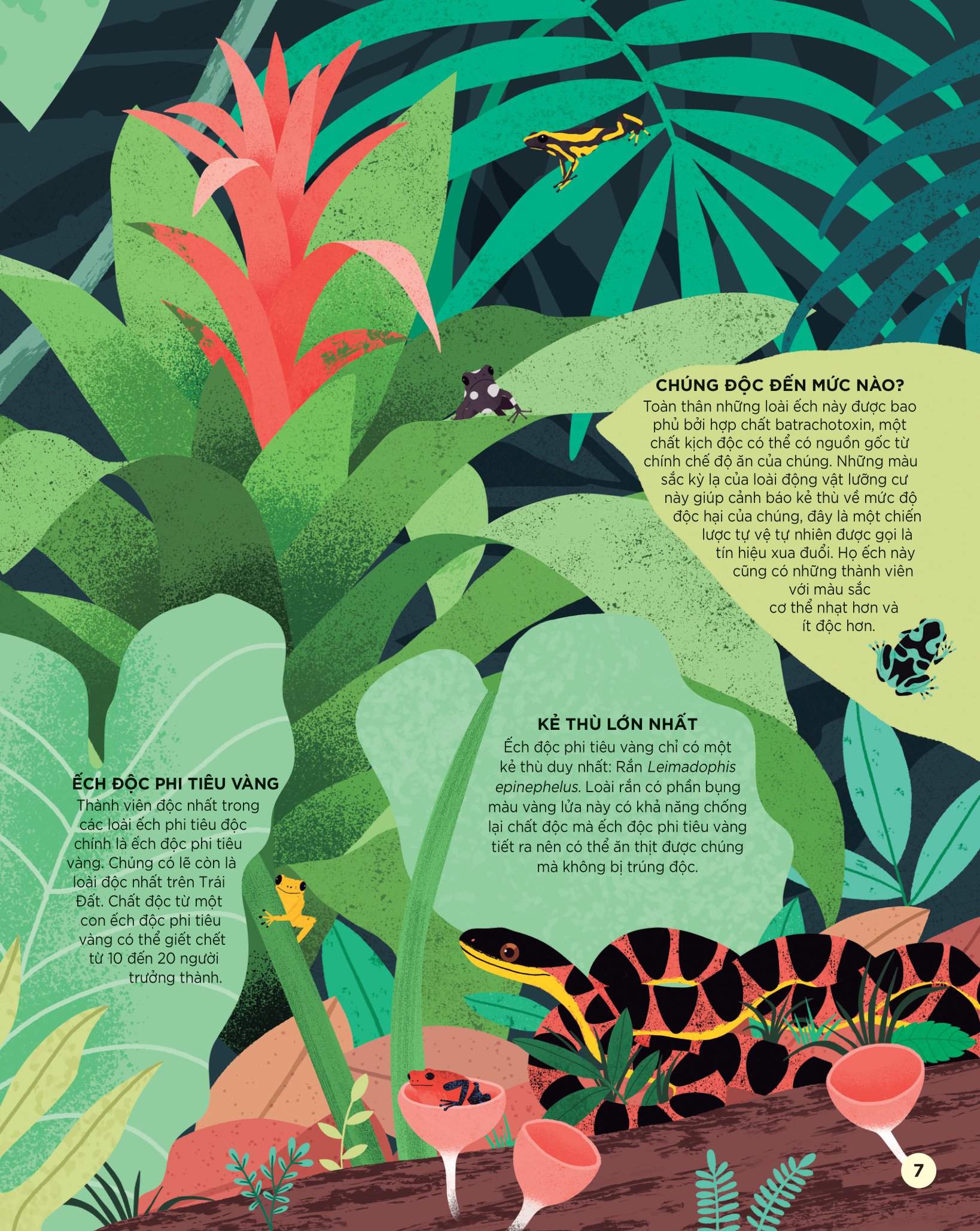 bách khoa tri thức dành cho trẻ em - các sinh vật cực độc trên trái đất - Ảnh 8