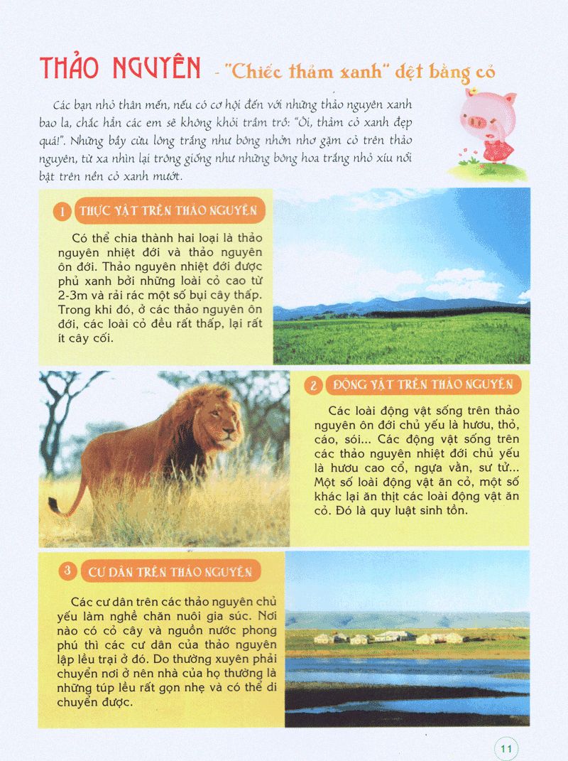 bách khoa tri thức đầu đời cho trẻ em -trái đất diệu kỳ - khám phá “cơ thể” trái đất - Ảnh 11