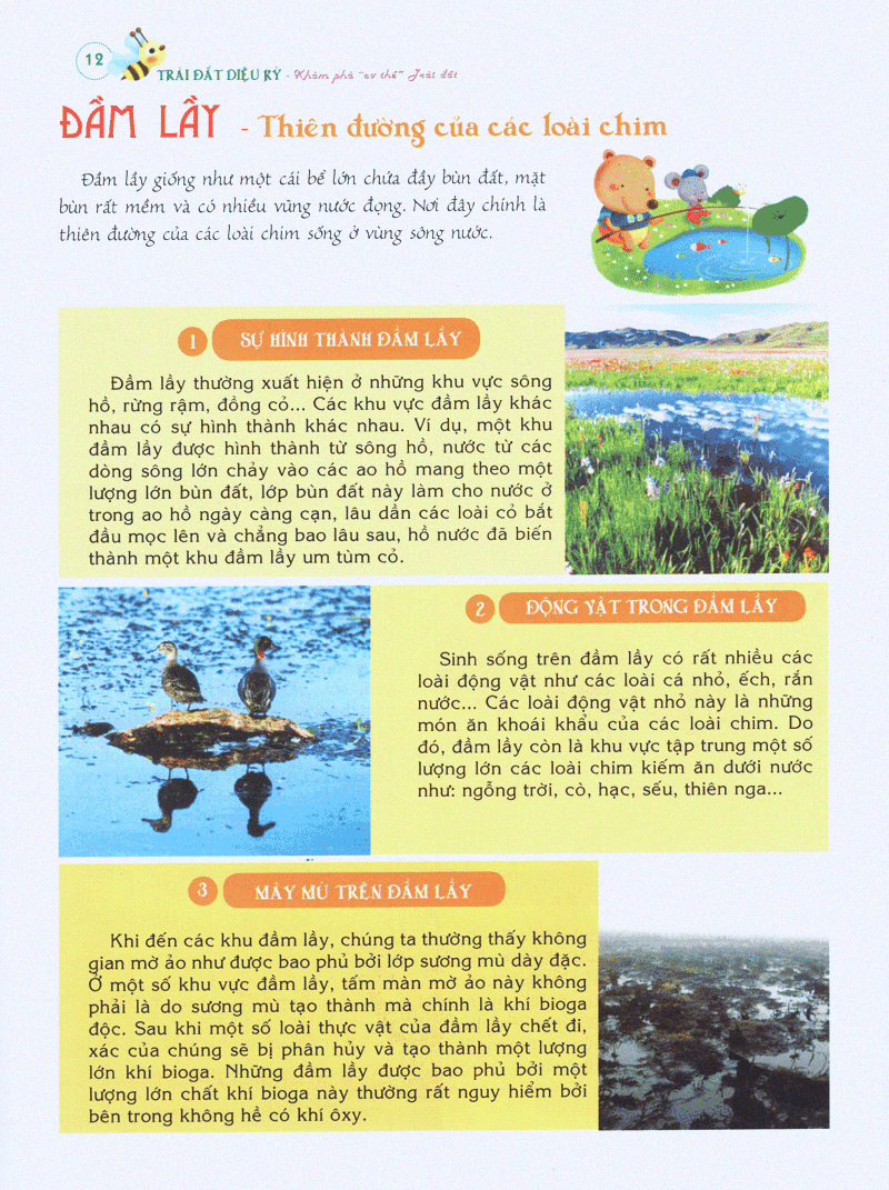 bách khoa tri thức đầu đời cho trẻ em -trái đất diệu kỳ - khám phá “cơ thể” trái đất - Ảnh 12