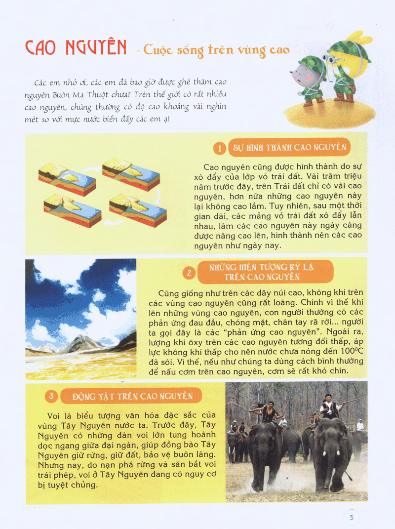 bách khoa tri thức đầu đời cho trẻ em -trái đất diệu kỳ - khám phá “cơ thể” trái đất - Ảnh 5