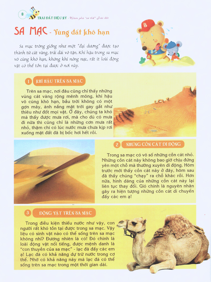 bách khoa tri thức đầu đời cho trẻ em -trái đất diệu kỳ - khám phá “cơ thể” trái đất - Ảnh 8