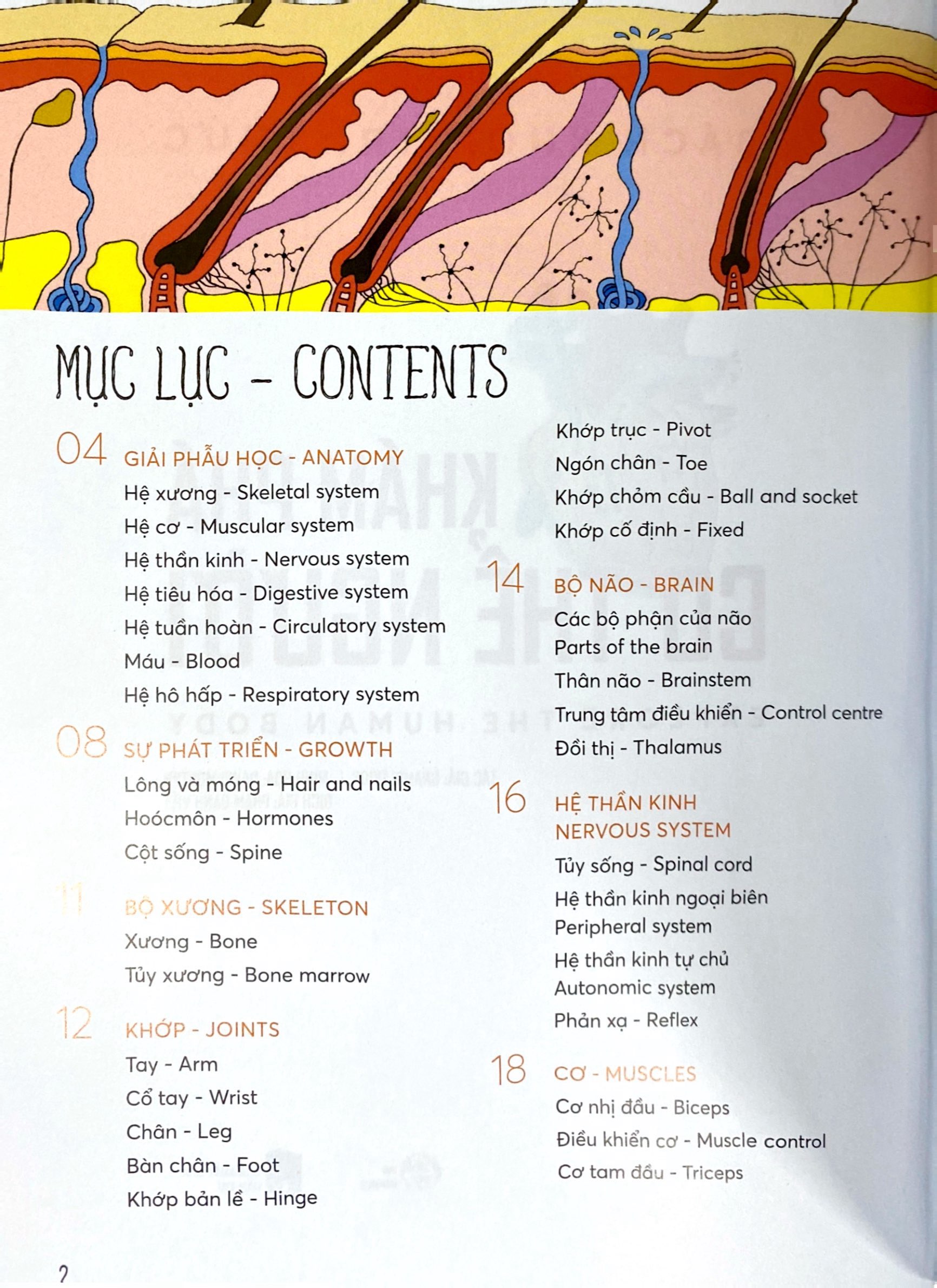 bách khoa tri thức - khám phá cơ thể người - explore the human body (song ngữ) - Ảnh 3