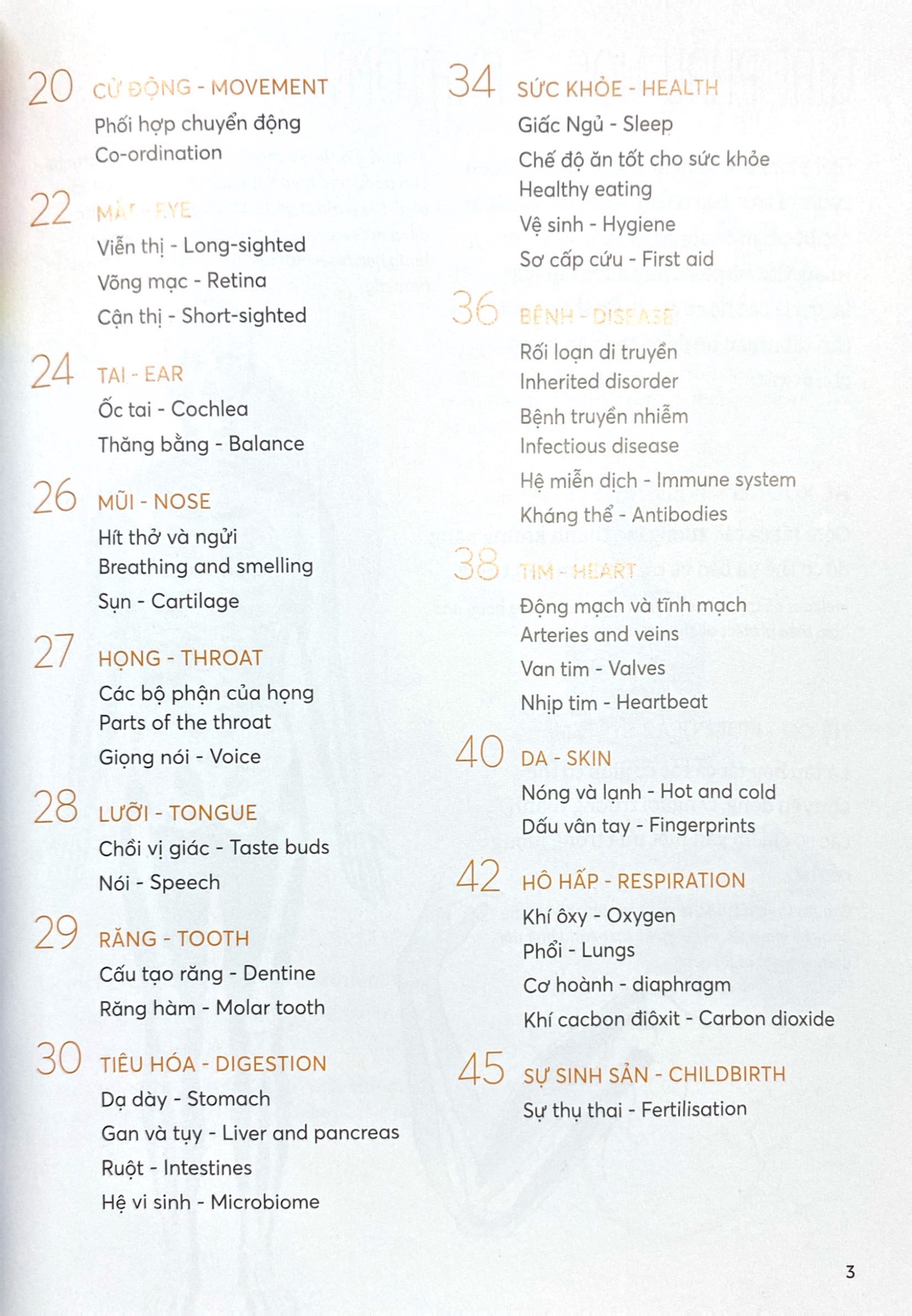 bách khoa tri thức - khám phá cơ thể người - explore the human body (song ngữ) - Ảnh 4