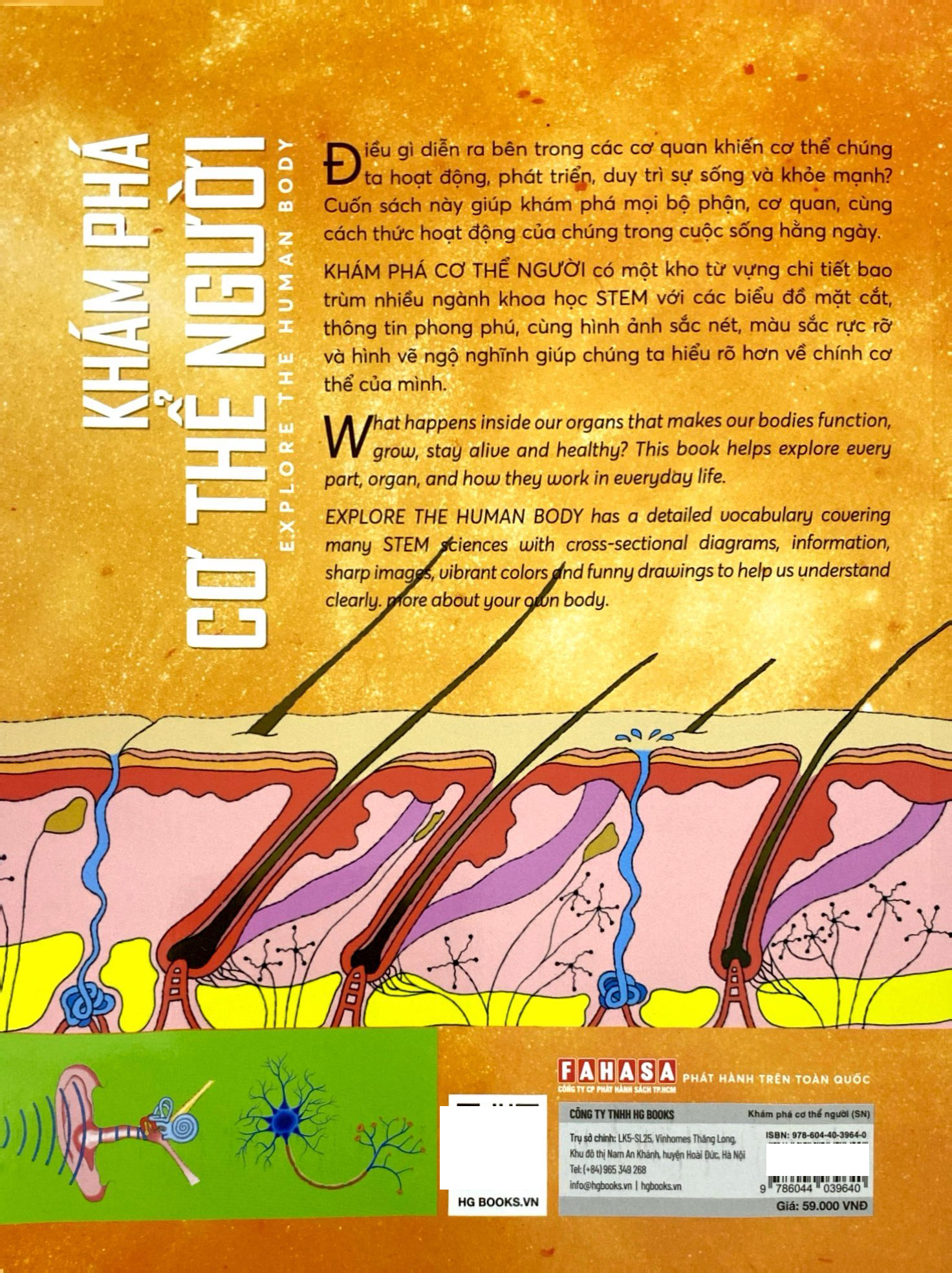 bách khoa tri thức - khám phá cơ thể người - explore the human body (song ngữ) - Ảnh 7