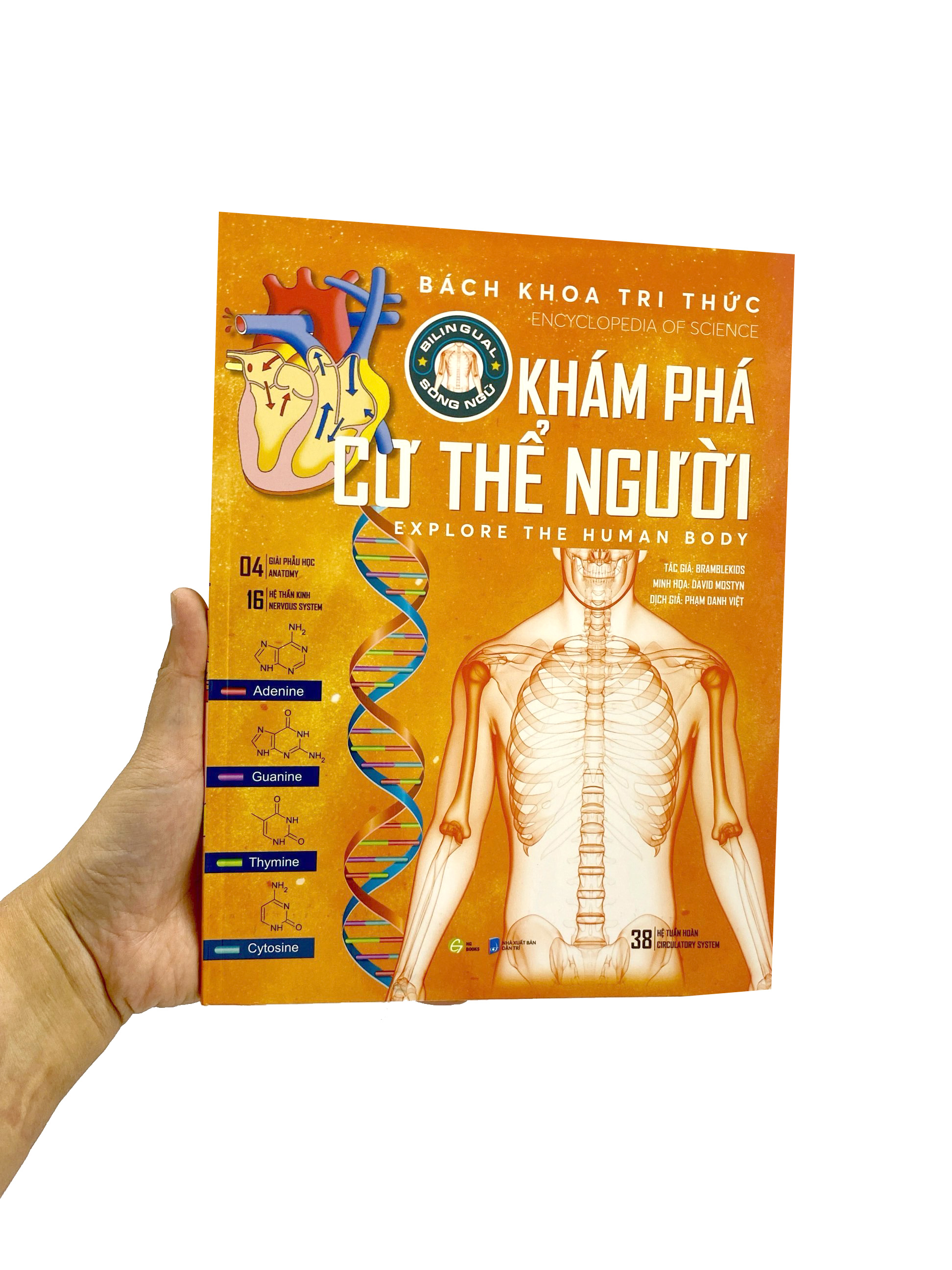 bách khoa tri thức - khám phá cơ thể người - explore the human body (song ngữ) - Ảnh 8