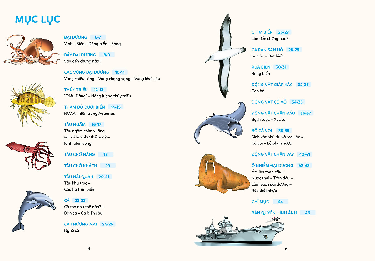 bách khoa tri thức - khám phá đại dương - Ảnh 5