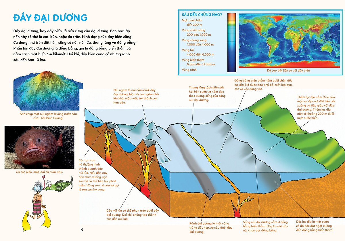 bách khoa tri thức - khám phá đại dương - Ảnh 7