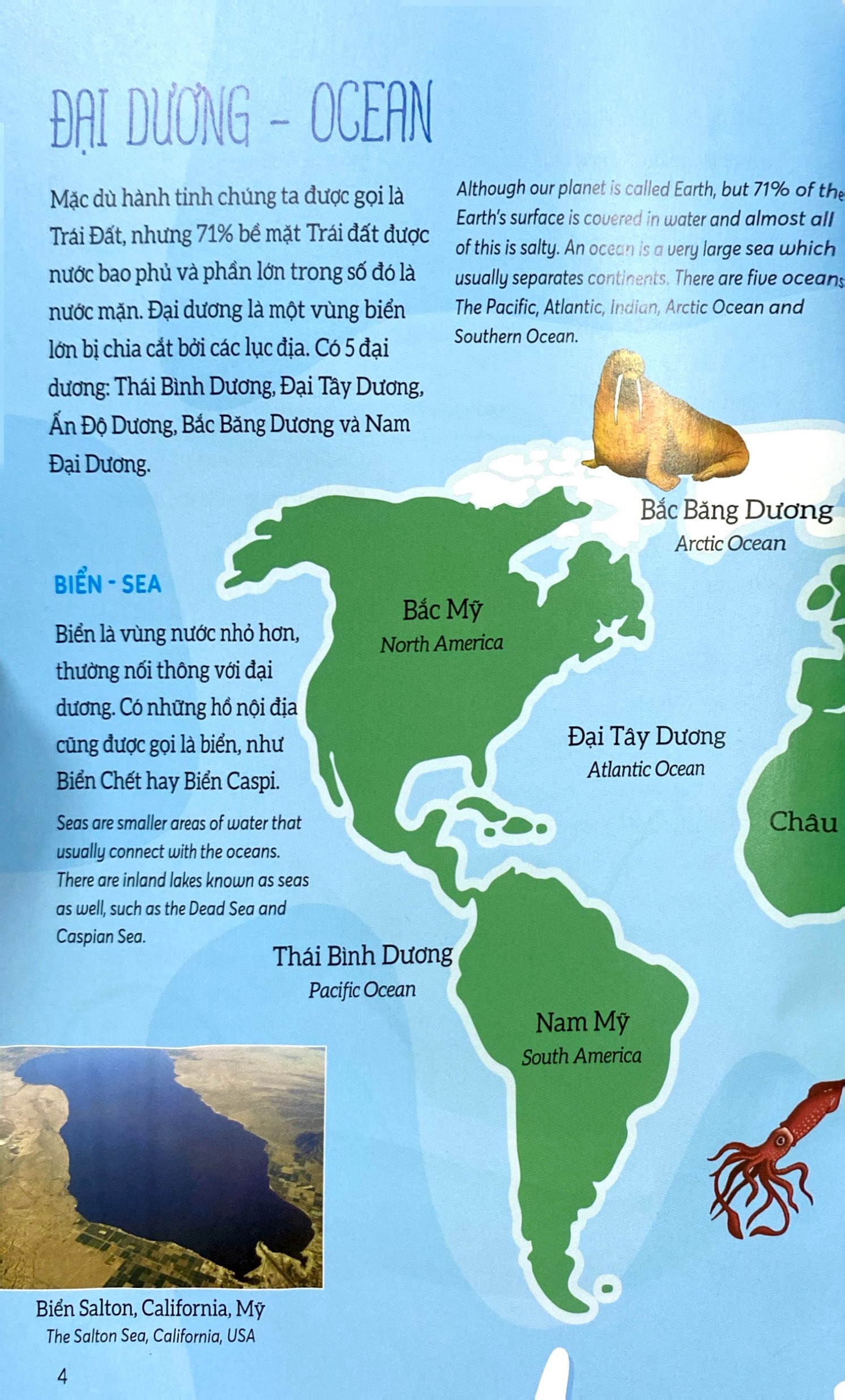 bách khoa tri thức - khám phá đại dương - explore the ocean (song ngữ) - Ảnh 5