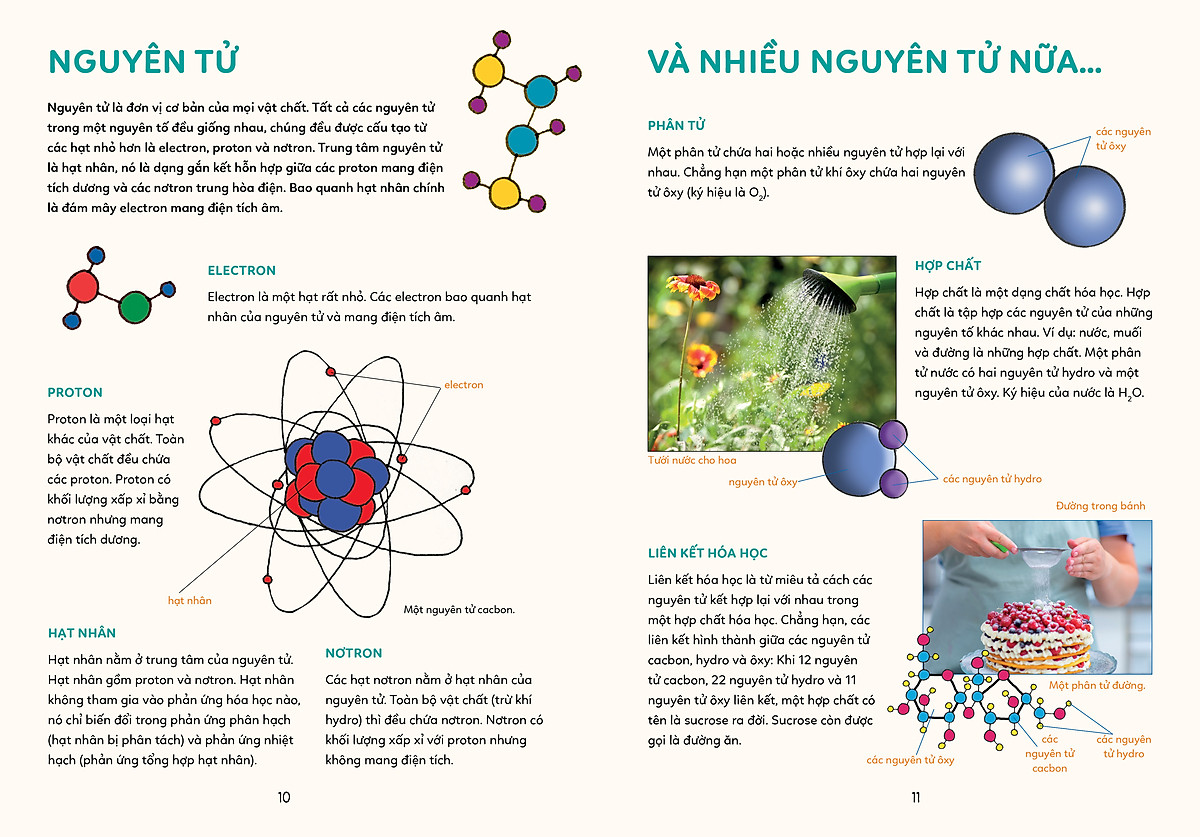 bách khoa tri thức - khám phá khoa học - Ảnh 7