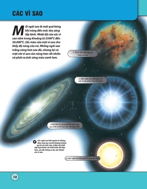 bách khoa tri thức nhân loại - bìa cứng (tái bản 2023) - Ảnh 5