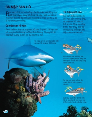 bách khoa tri thức về khám phá thế giới cho trẻ em - cá mập (tái bản 2017) - Ảnh 5