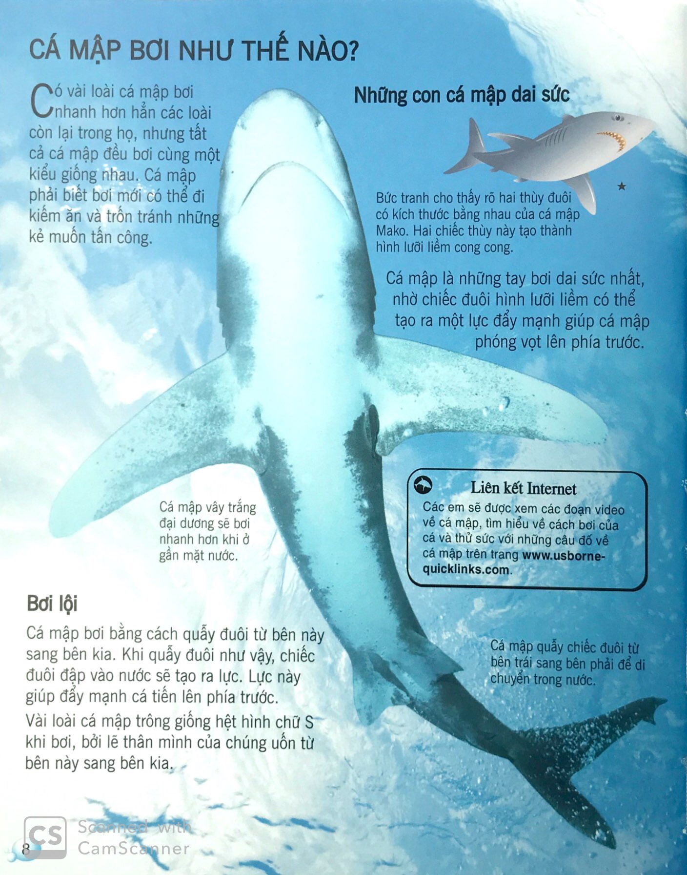 bách khoa tri thức về khám phá thế giới cho trẻ em - cá mập (tái bản 2018) - Ảnh 6