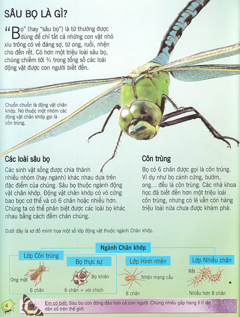 bách khoa tri thức về khám phá thế giới cho trẻ em - các loài sâu bọ (2017) - Ảnh 3