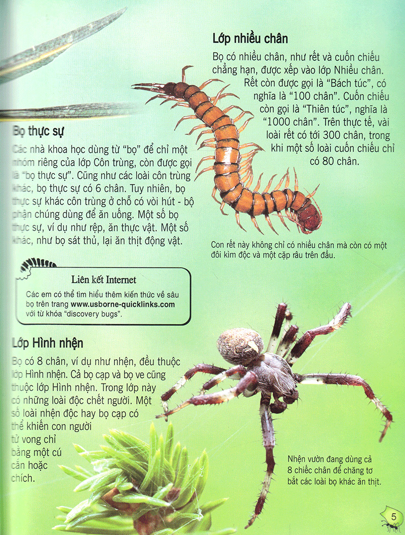 bách khoa tri thức về khám phá thế giới cho trẻ em - các loài sâu bọ (2017) - Ảnh 4