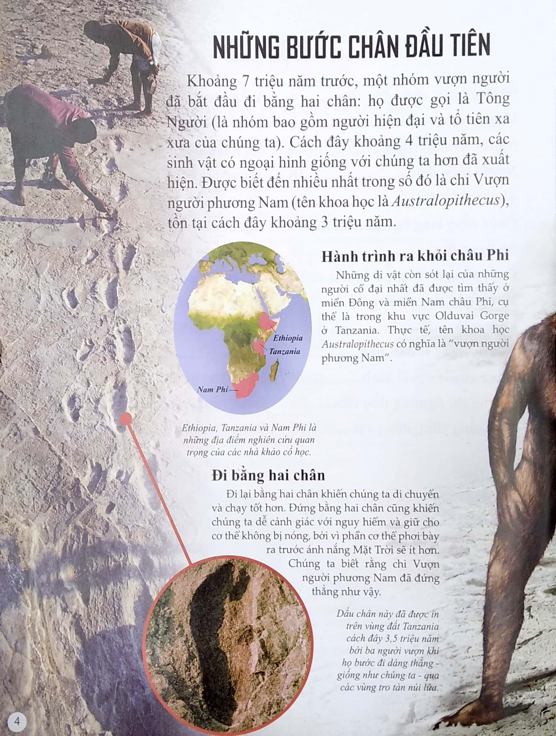 bách khoa tri thức về khám phá thế giới cho trẻ em - early people - người cổ đại - Ảnh 4