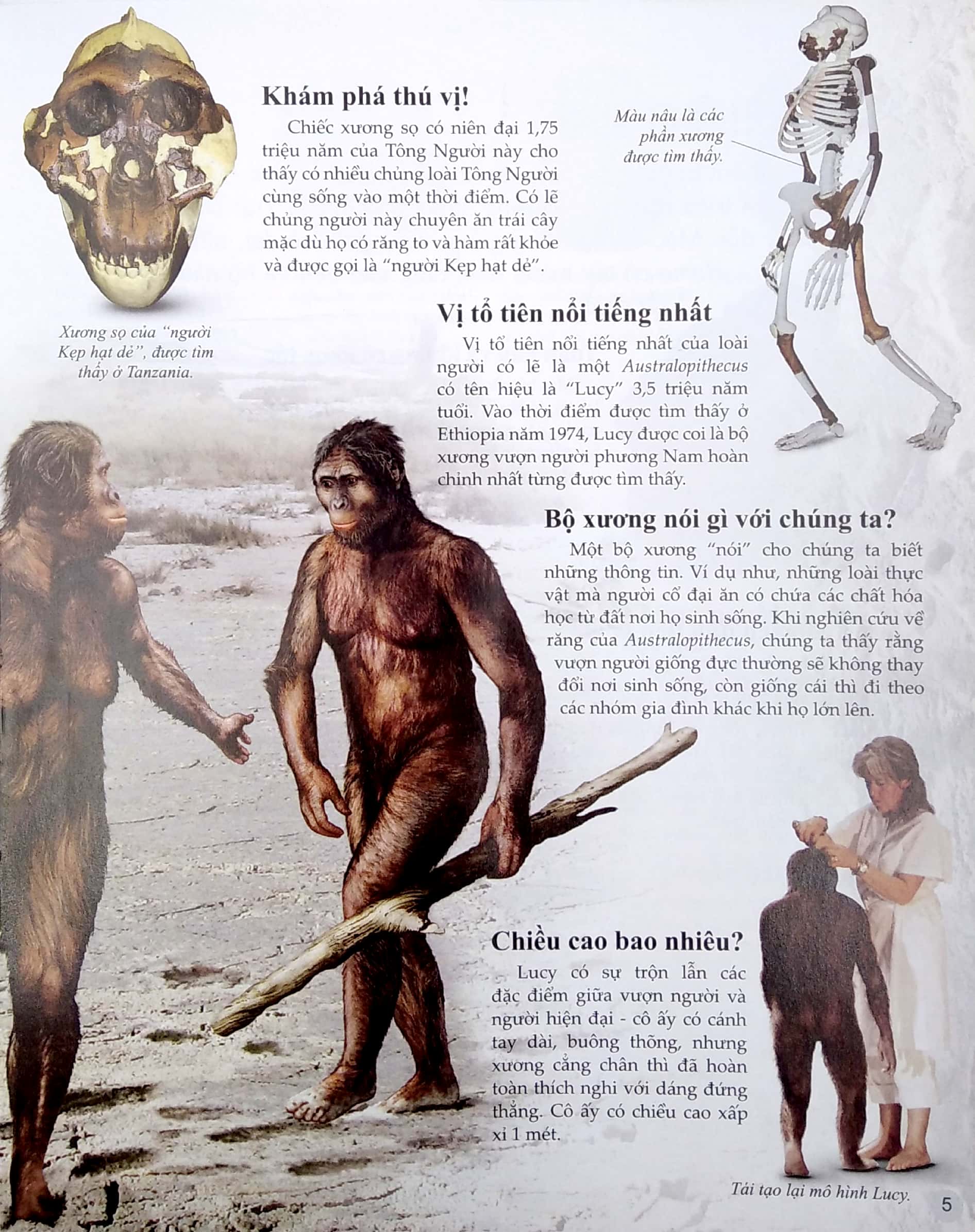 bách khoa tri thức về khám phá thế giới cho trẻ em - early people - người cổ đại - Ảnh 5