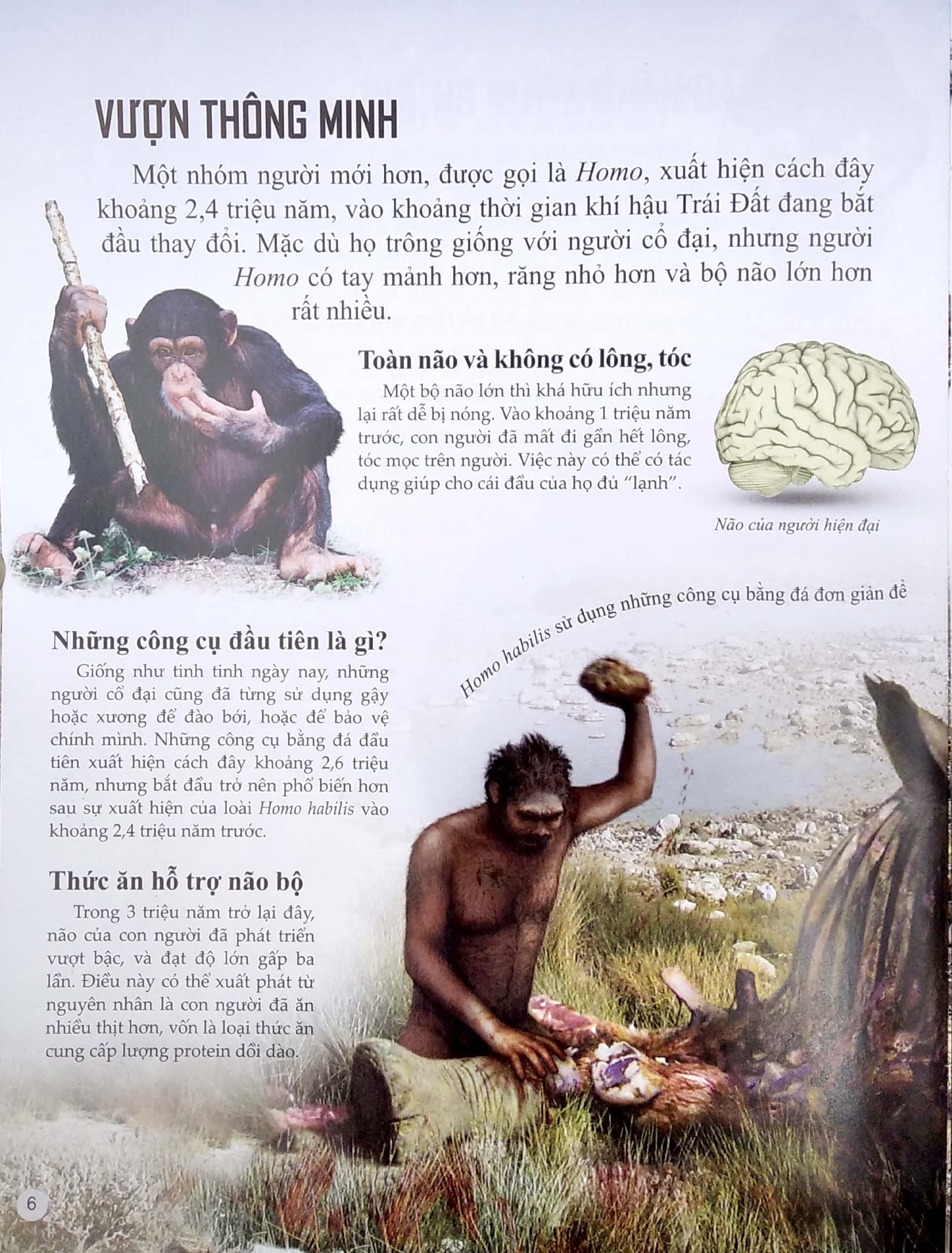 bách khoa tri thức về khám phá thế giới cho trẻ em - early people - người cổ đại - Ảnh 6