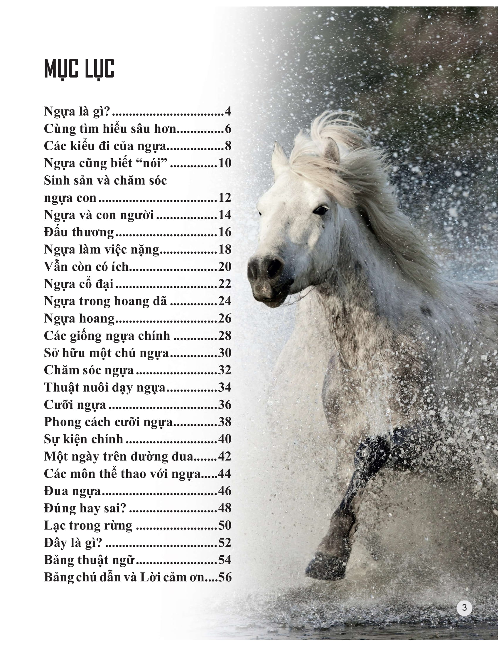 bách khoa tri thức về khám phá thế giới cho trẻ em - horses and ponies - loài ngựa - Ảnh 2