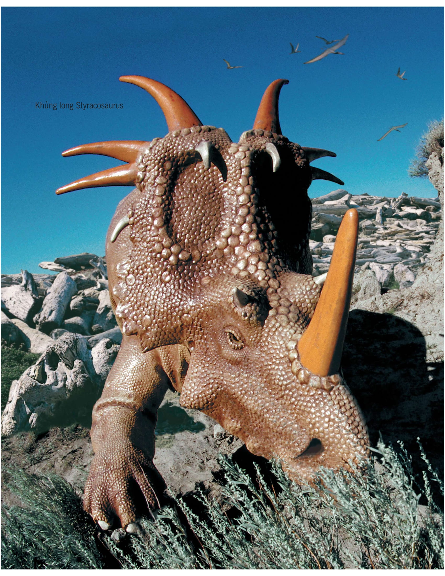 bách khoa tri thức về khám phá thế giới cho trẻ em - khủng long (tái bản 2020) - Ảnh 2