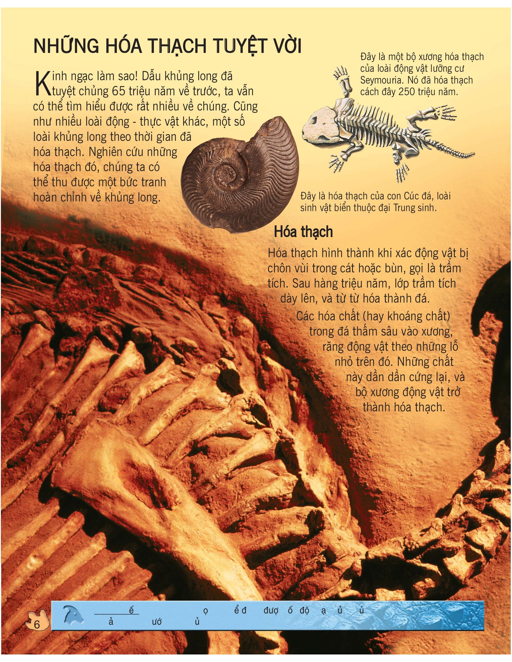 bách khoa tri thức về khám phá thế giới cho trẻ em - khủng long (tái bản 2020) - Ảnh 6
