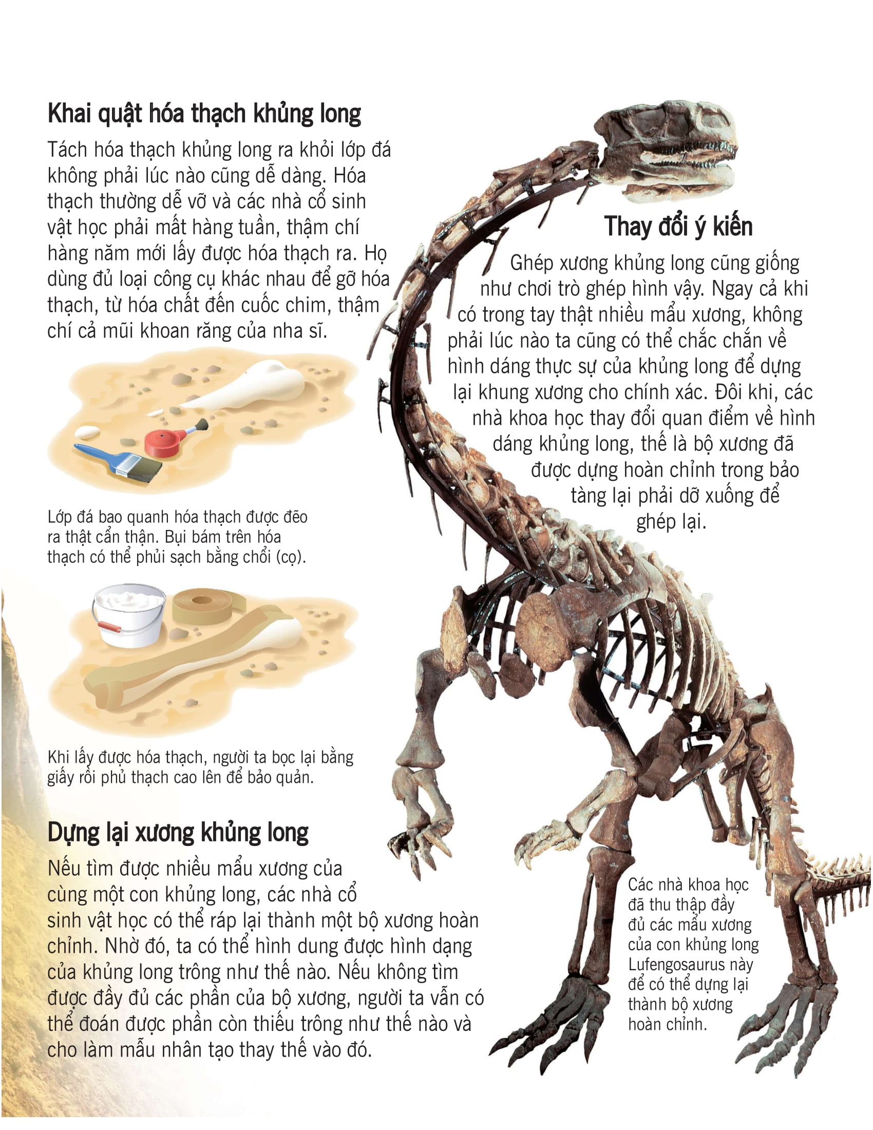bách khoa tri thức về khám phá thế giới cho trẻ em - khủng long (tái bản 2020) - Ảnh 9