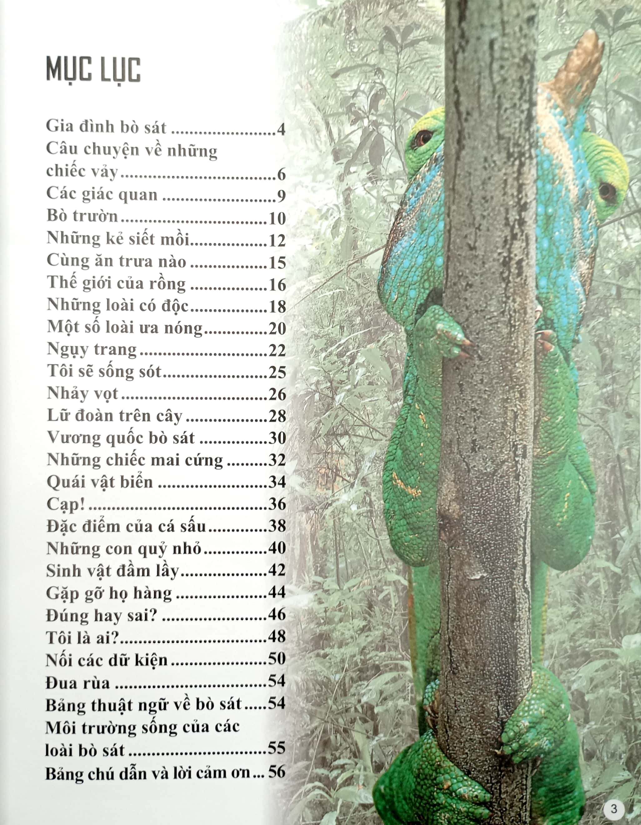 bách khoa tri thức về khám phá thế giới cho trẻ em - reptiles - bò sát - Ảnh 3