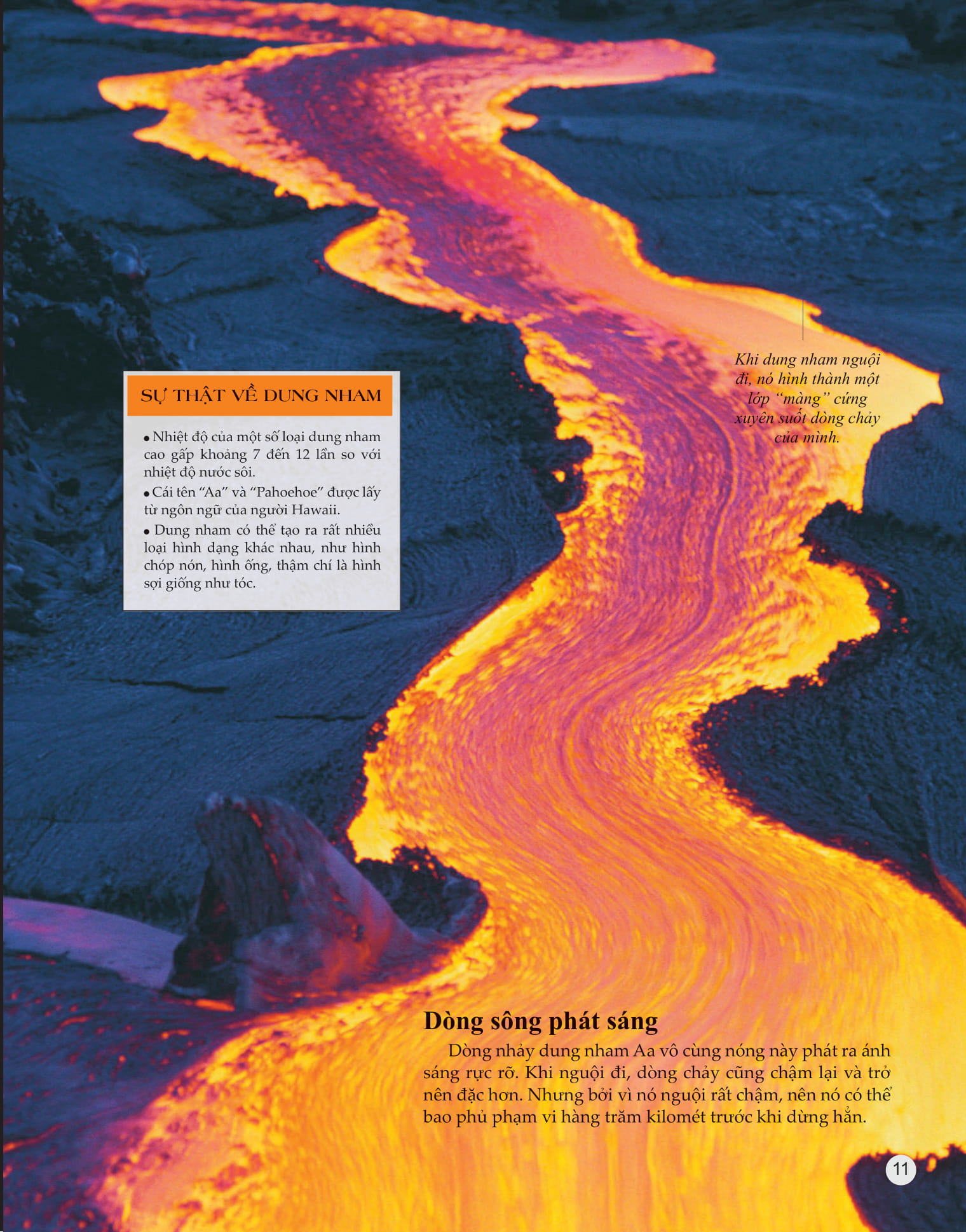 bách khoa tri thức về khám phá thế giới cho trẻ em - volcano - núi lửa - Ảnh 2