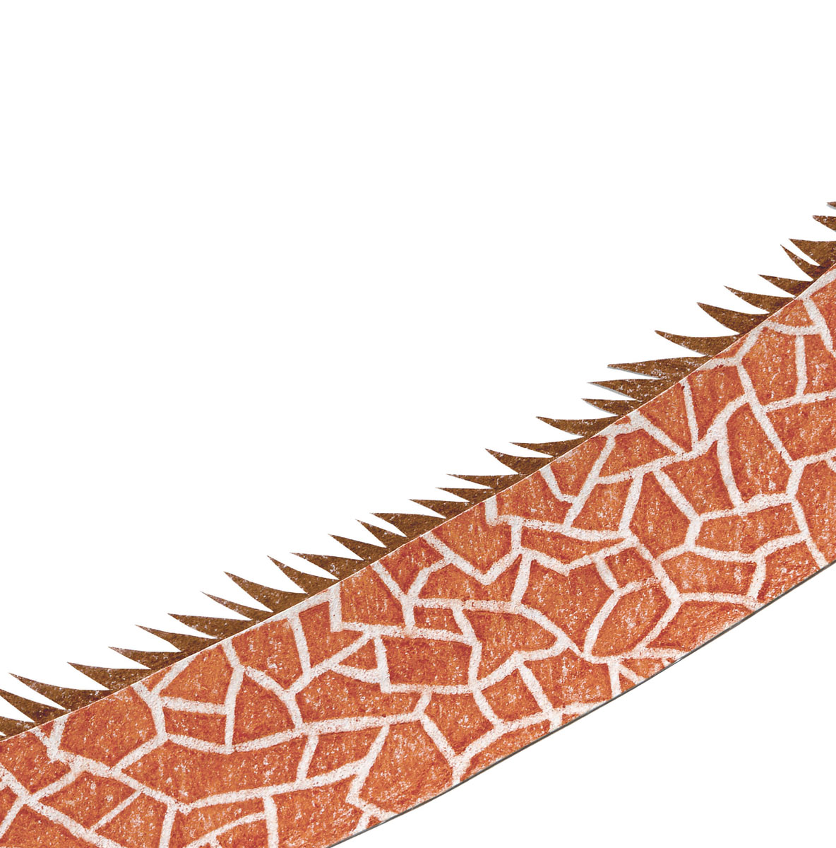 bạch tuộc biết tuốt - ai giành giải nhất? - Ảnh 6