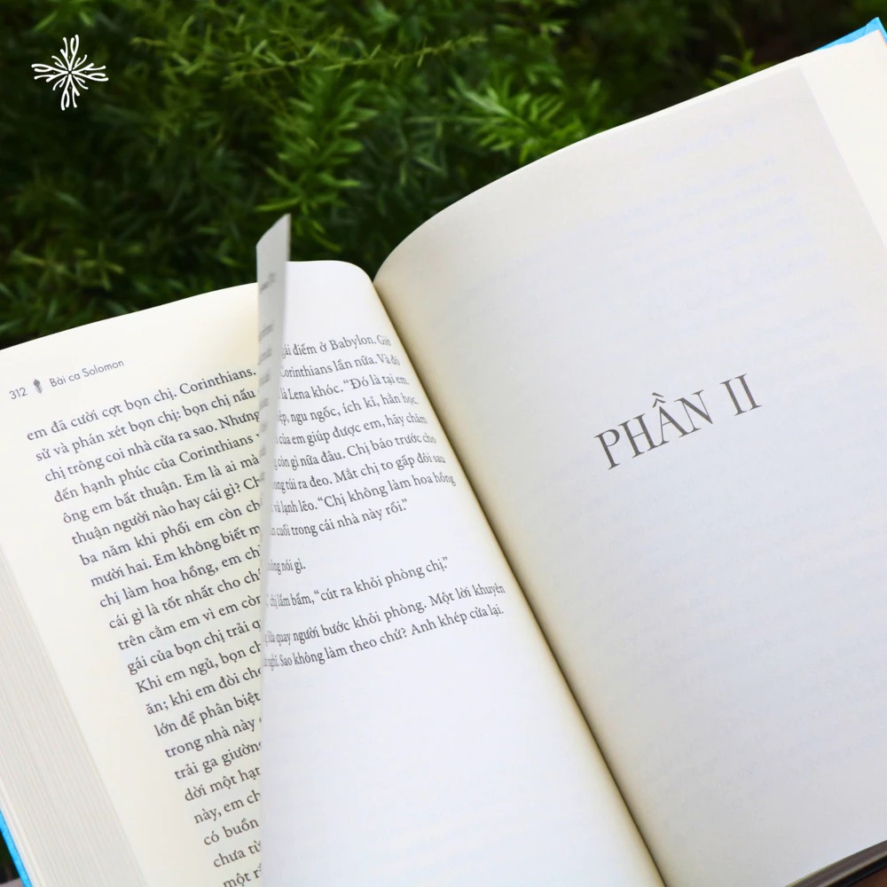 Bài Ca Solomon - Ảnh 3