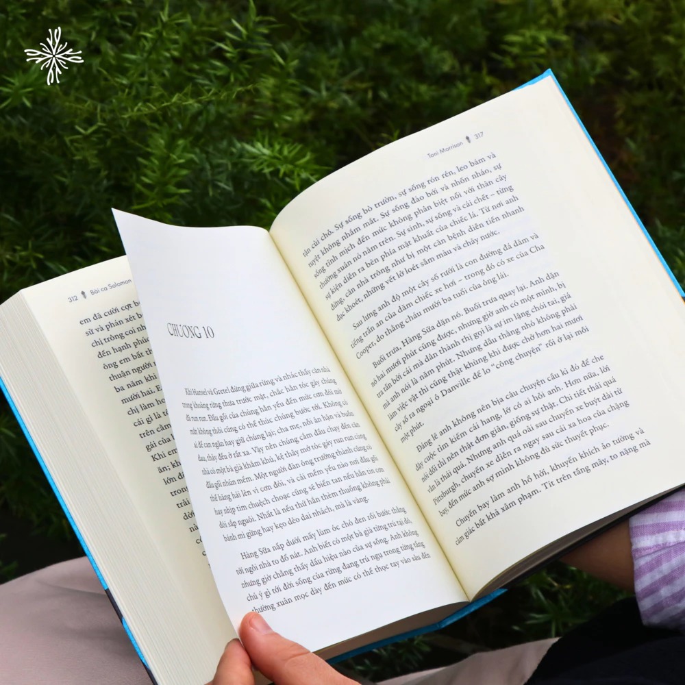 Bài Ca Solomon - Ảnh 4