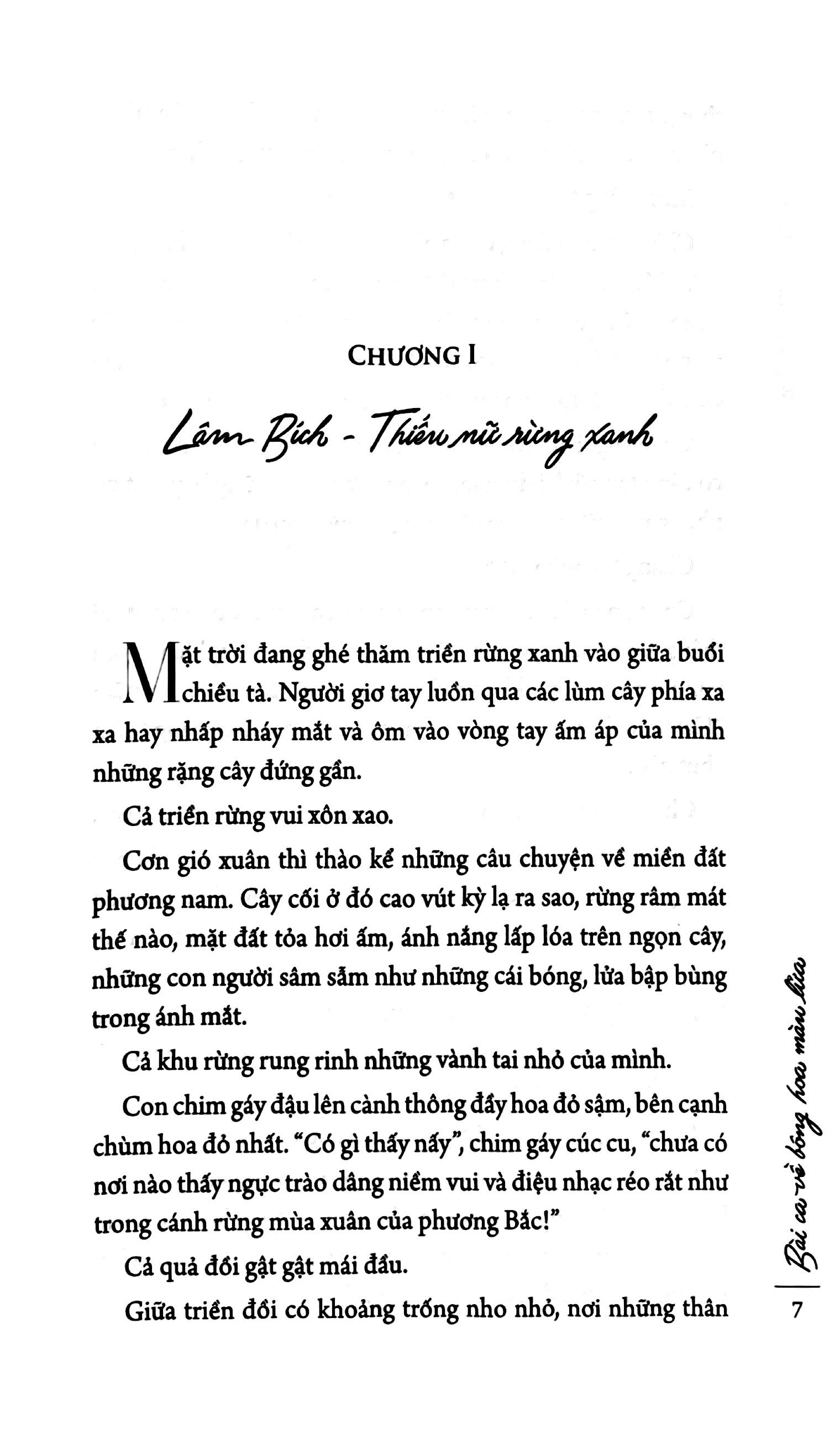 bài ca về bông hoa màu lửa - Ảnh 4